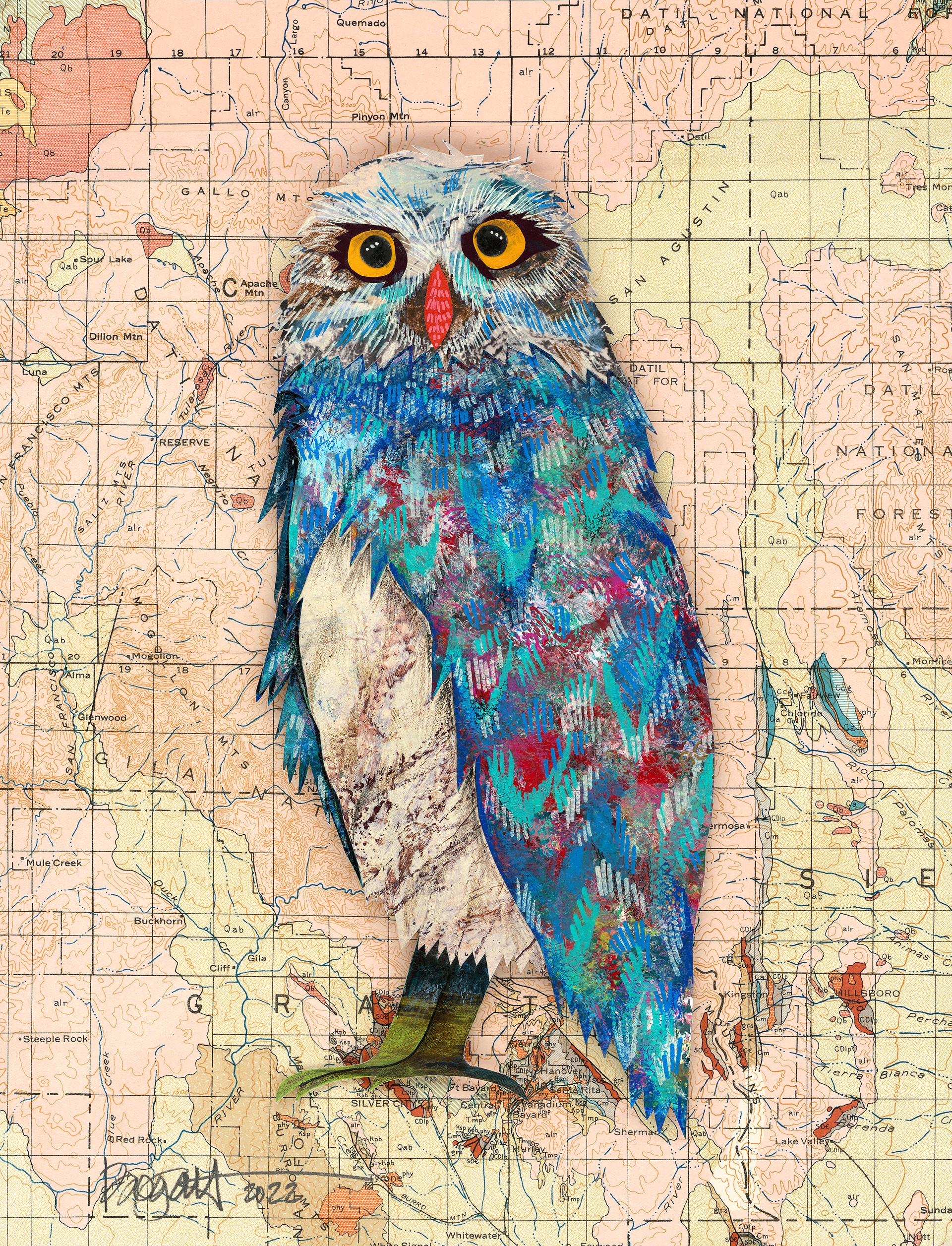 Screech Owl X by Brenda Bogart