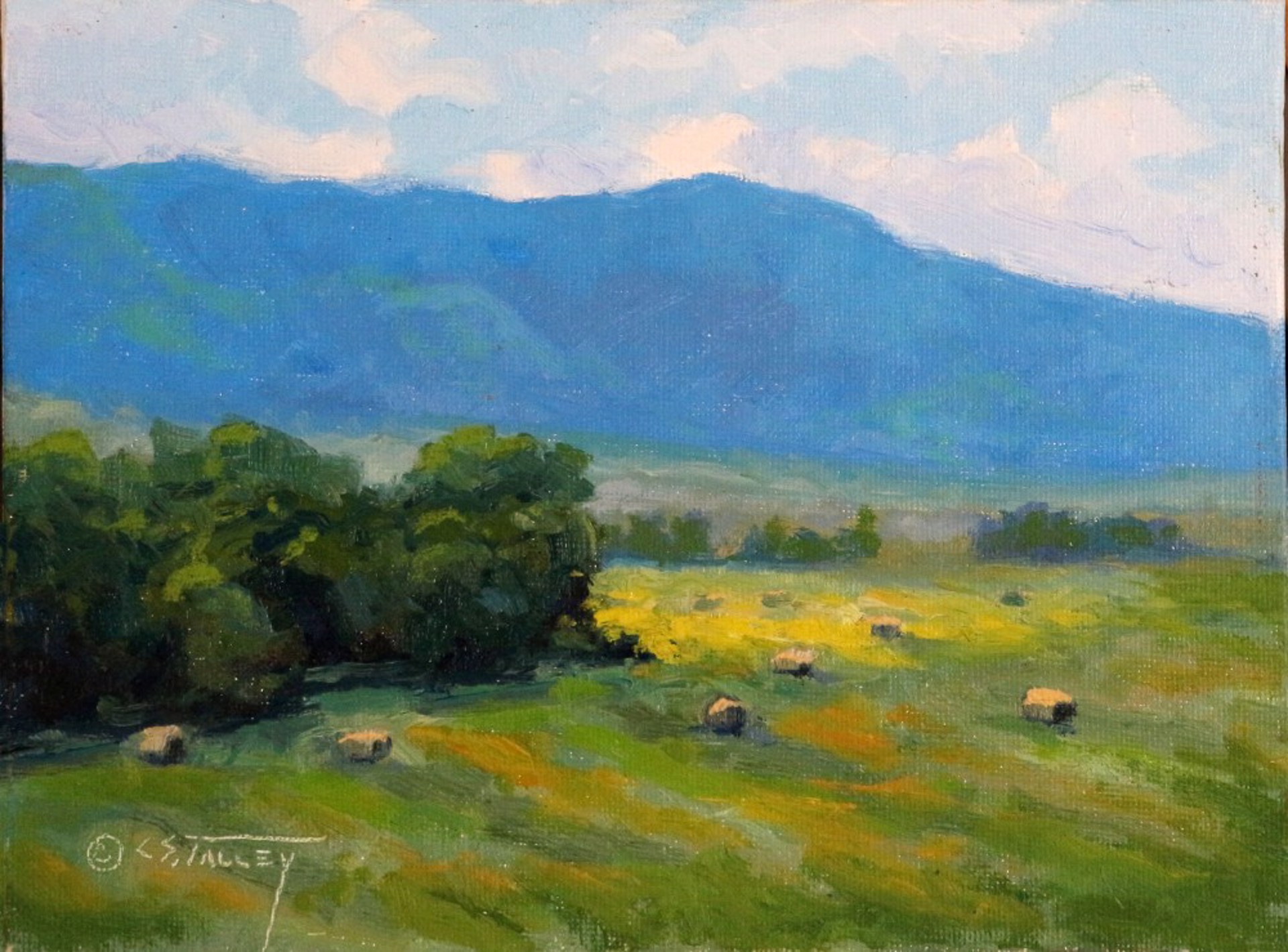 Harvest in Montana by C. S. Talley