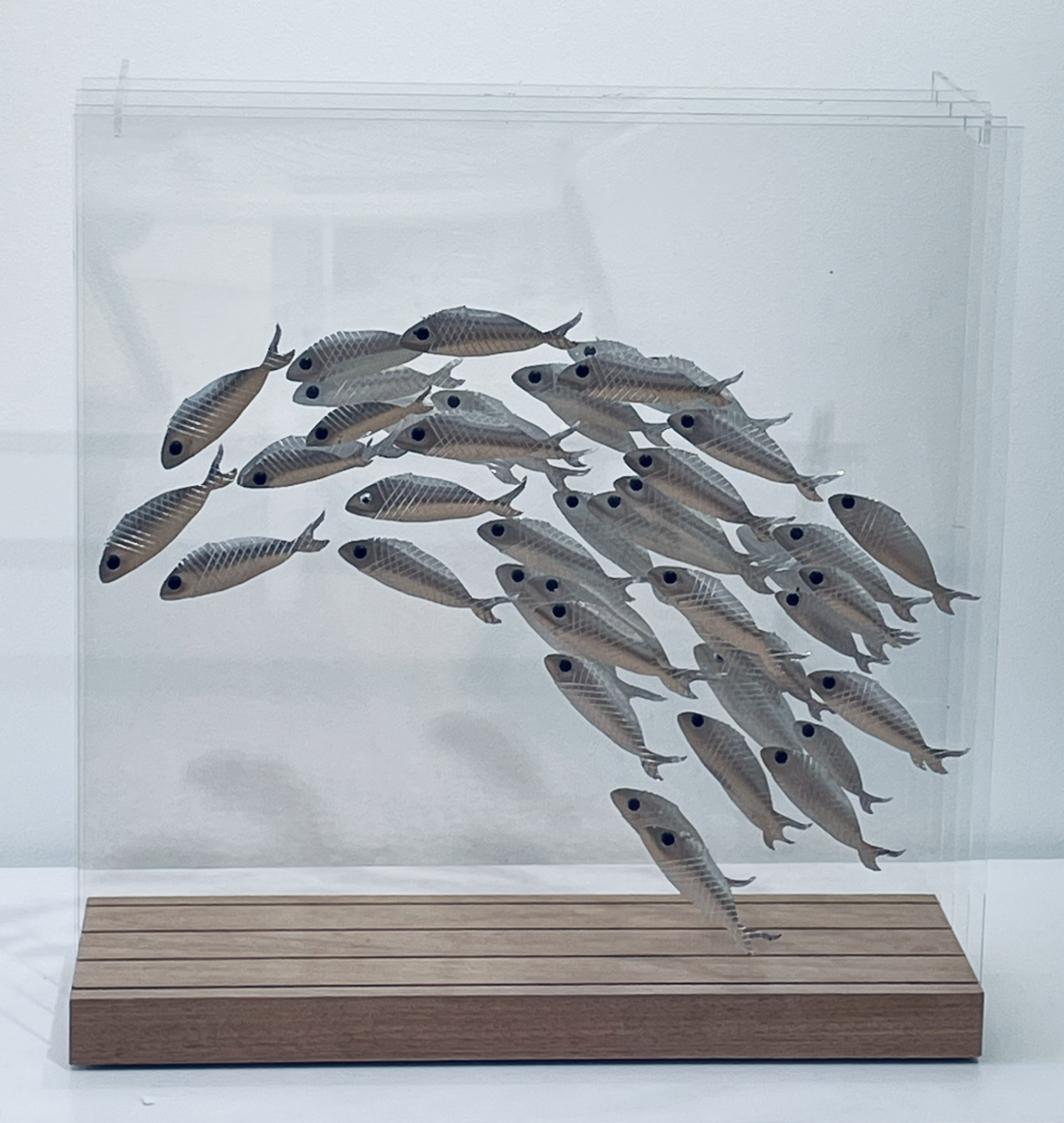 School of Fish I by Rémy de Haenen