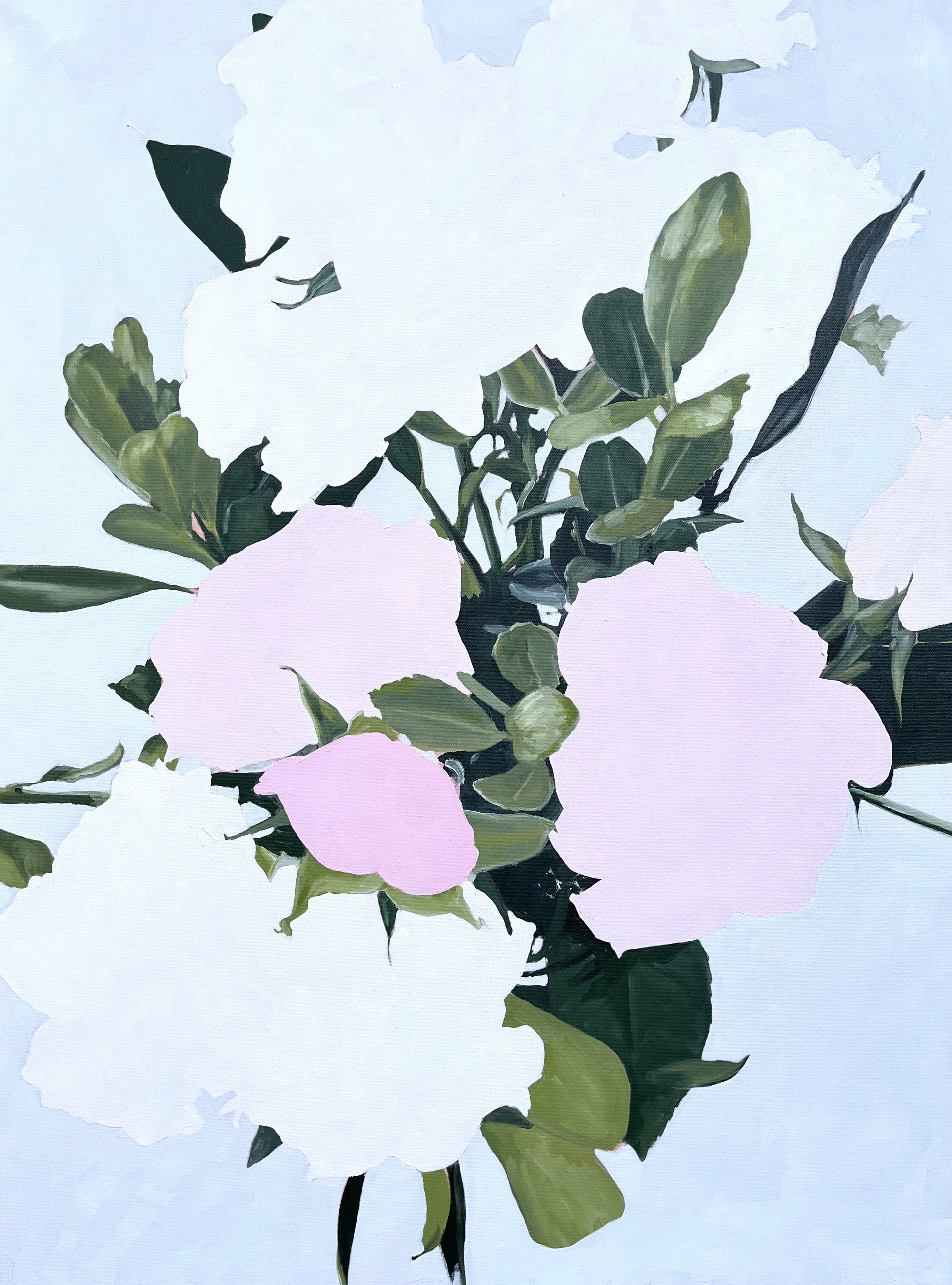 Peonies by KATIE MACNELLY