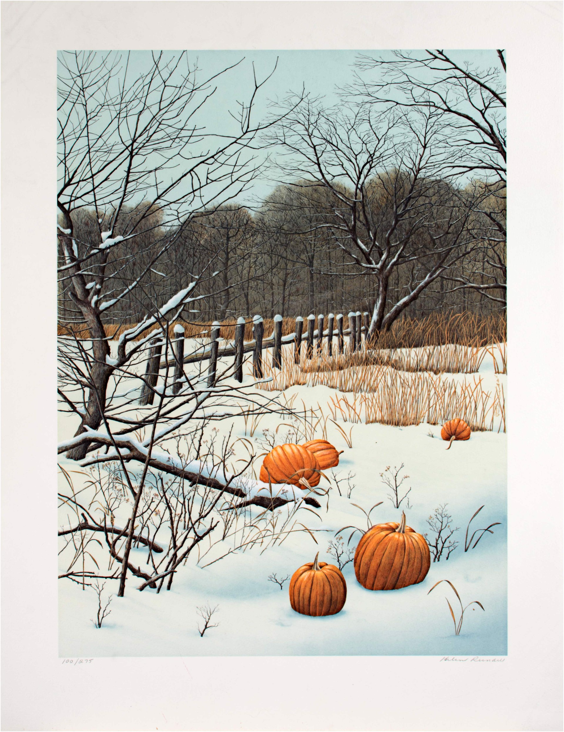 Pumpkin Field by Helen Rundell