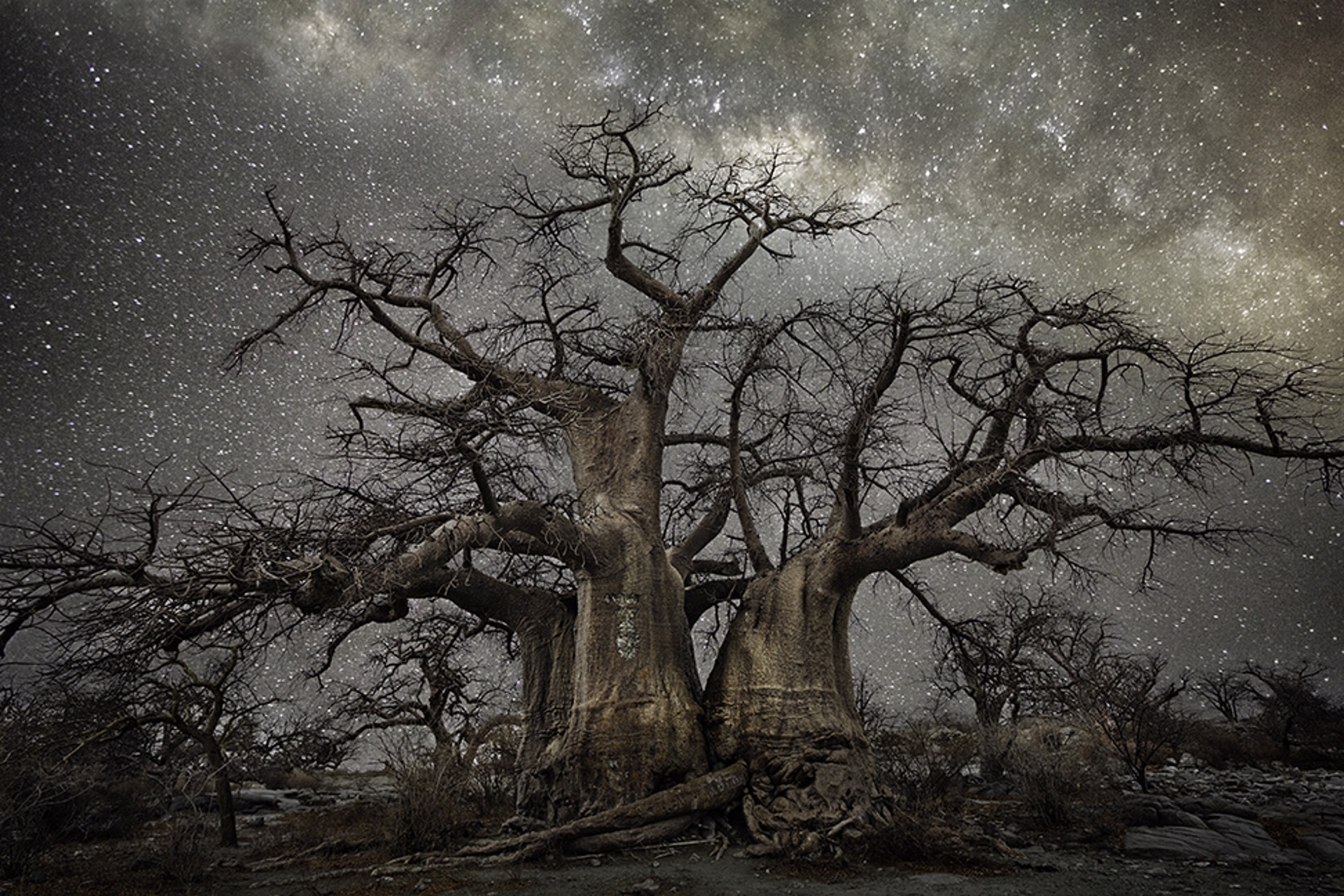 Fornax by Beth Moon