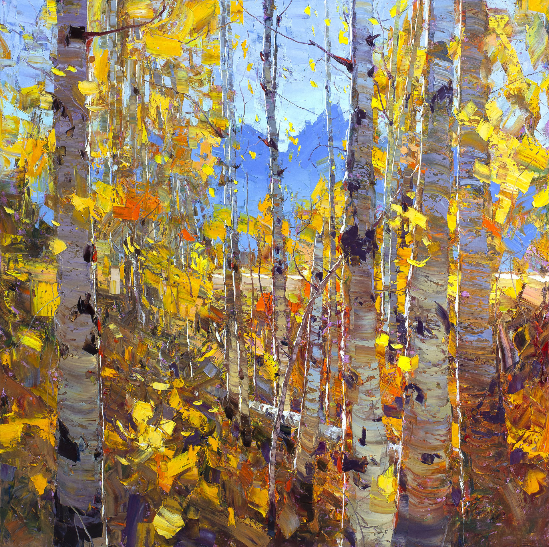 Original Oil Landscape Painting Featuring Blue Mountains Seen Through Yellow Foliage And White Tree Trunks
