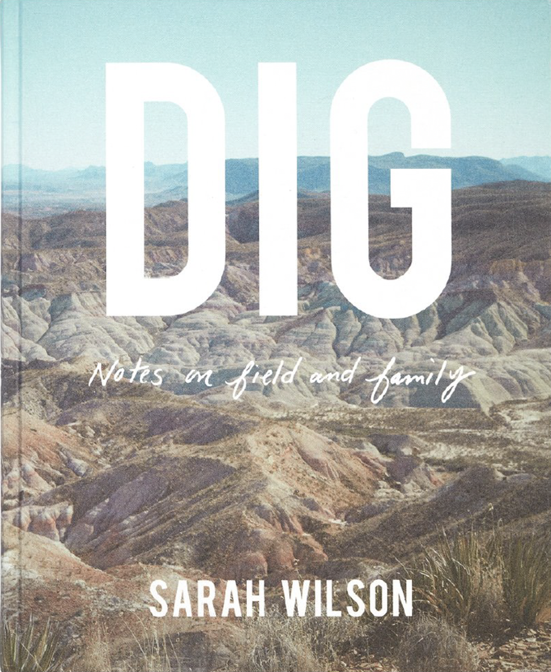 DIG: Notes on Field and Family by Sarah Wilson by Sarah Wilson