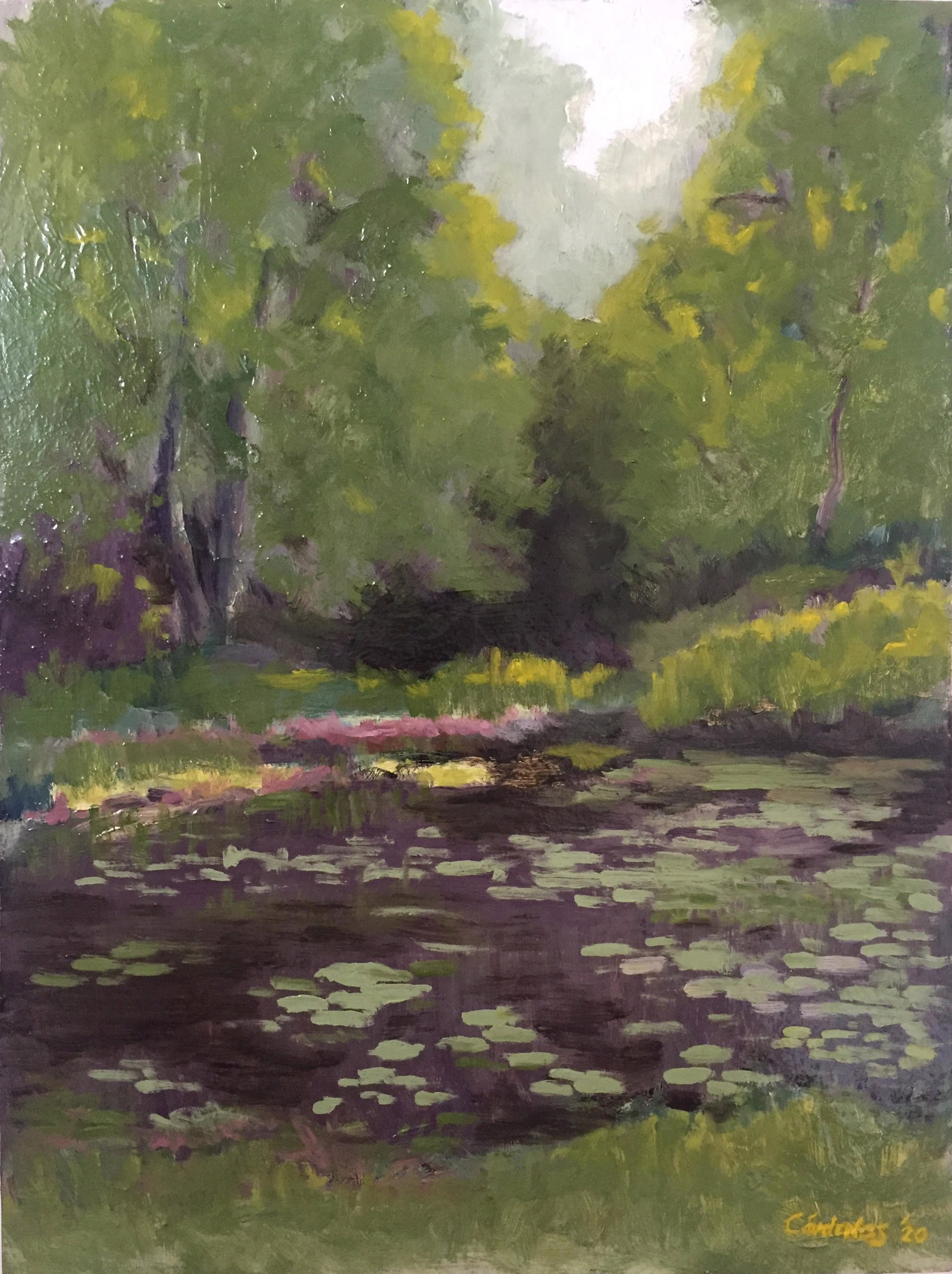 Aquinas Pond in June by Kathryn Cárdenas
