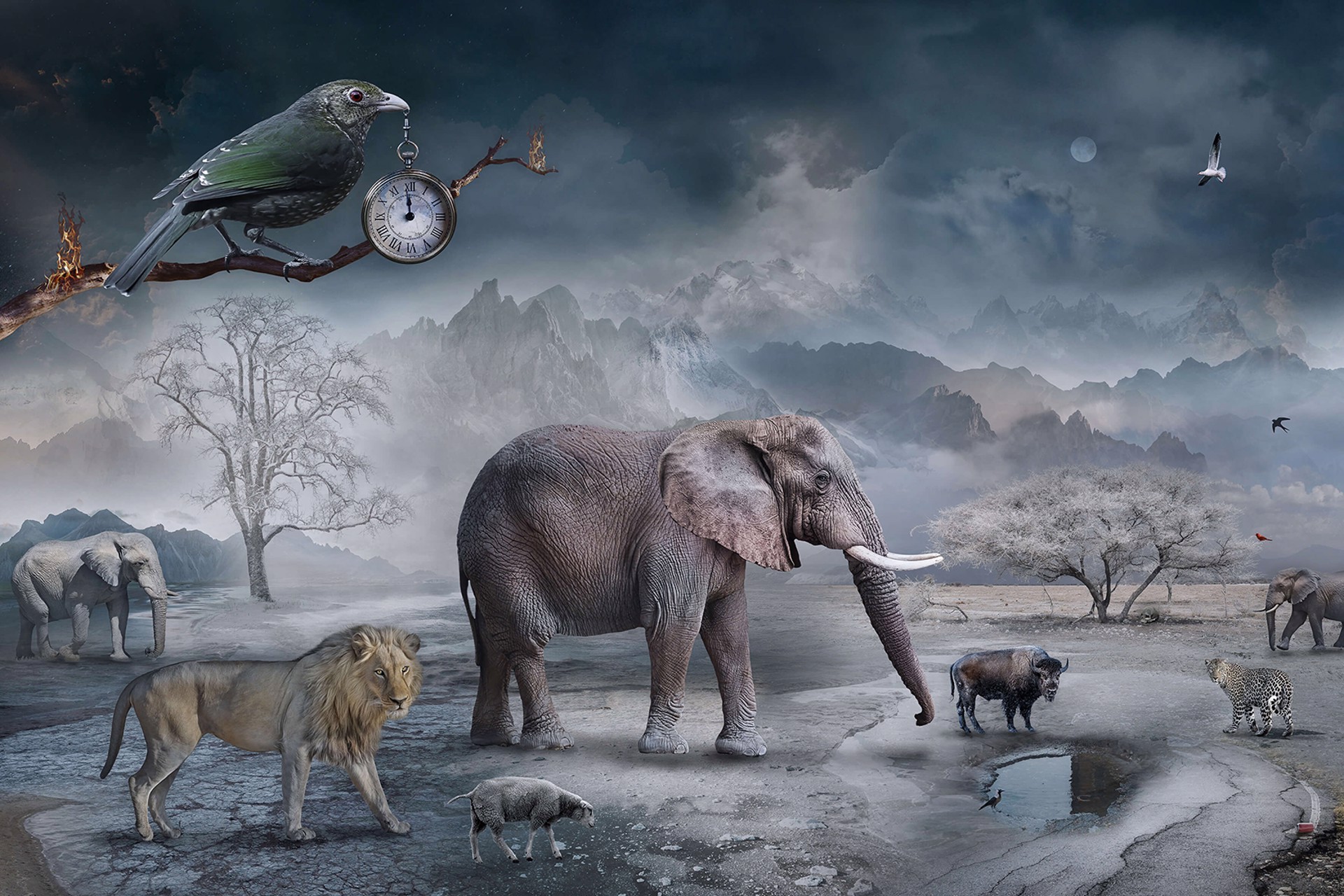 The Last Drop of Water by Marcin Owczarek