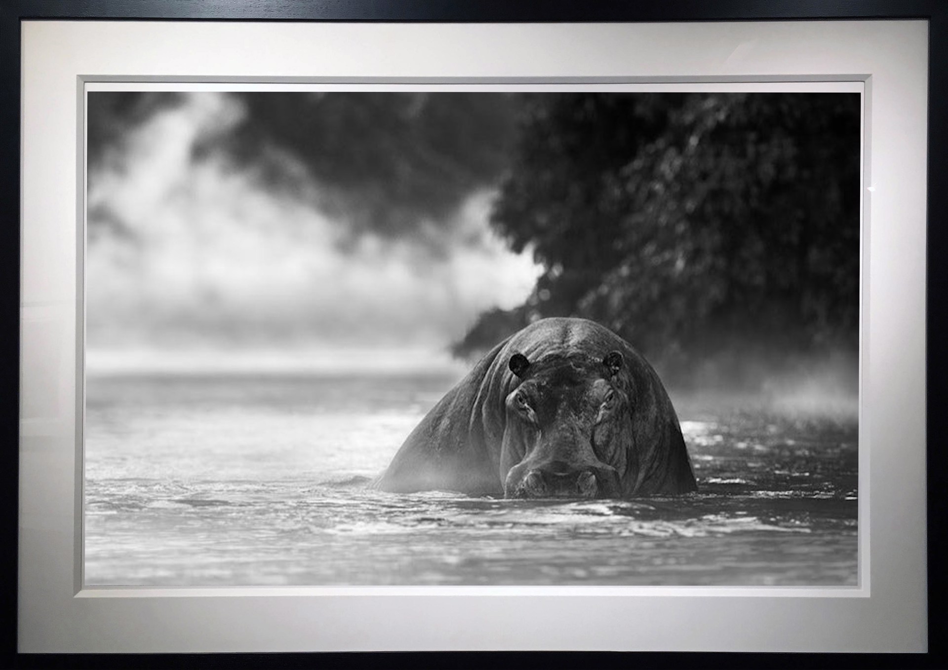 The River Monster by David Yarrow