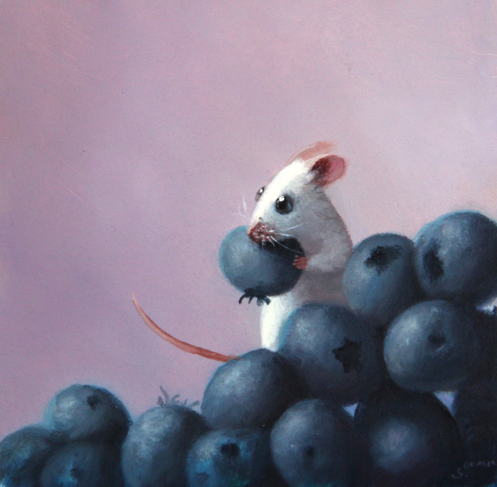 Blueberry Dinner by Stuart Dunkel