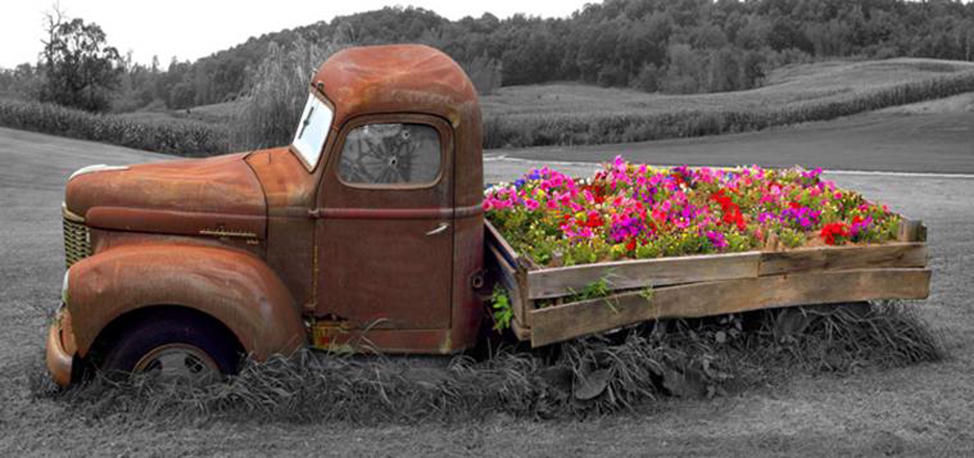 Truck & Flowers (8x17 Metal) by Pete Ramberg