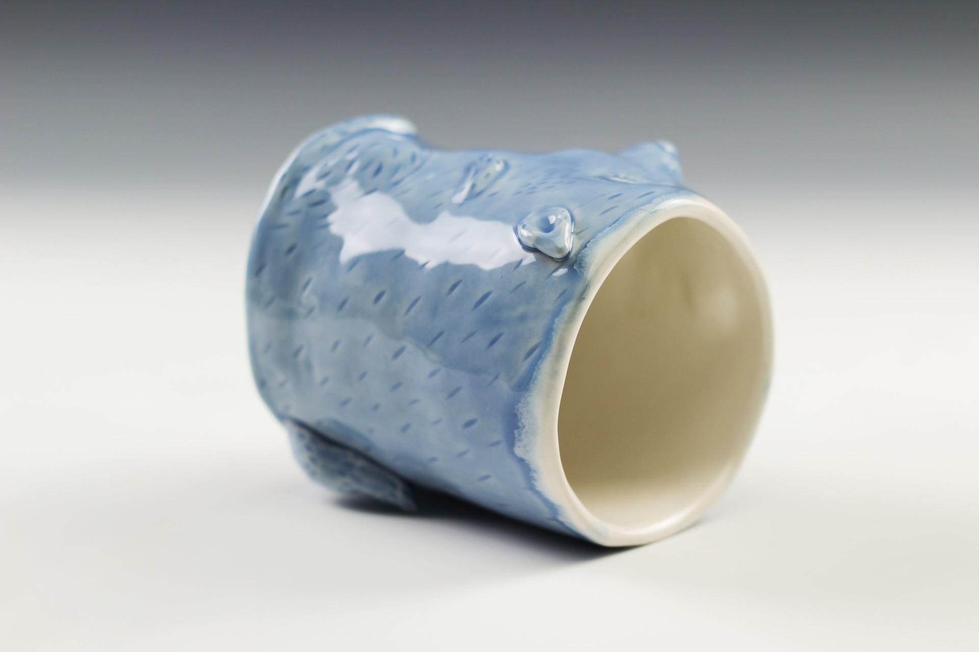 Blue Raccoon Mug by Debbie Kupinsky