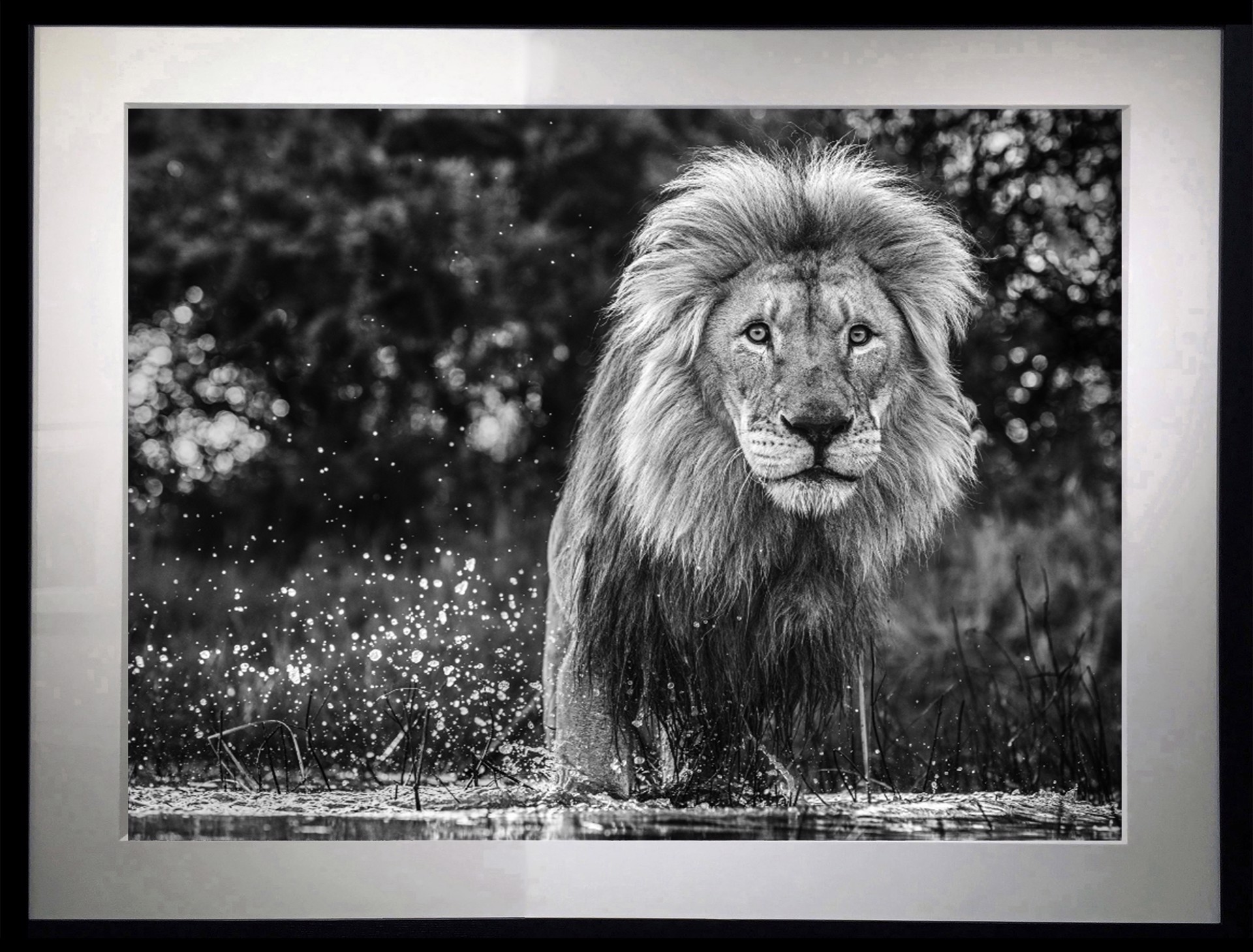 After the Flood by David Yarrow