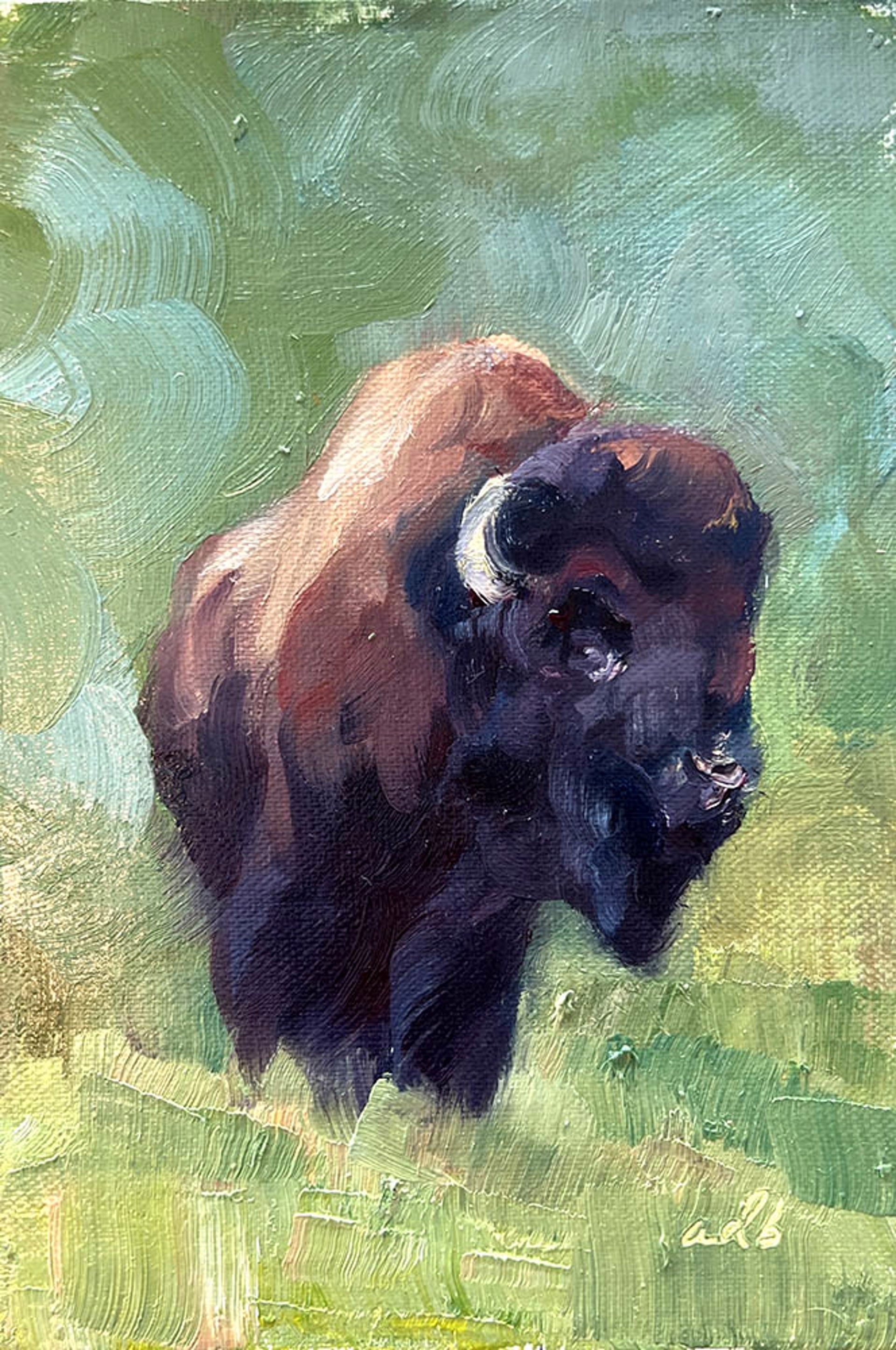 Bison Study by Amber Blazina