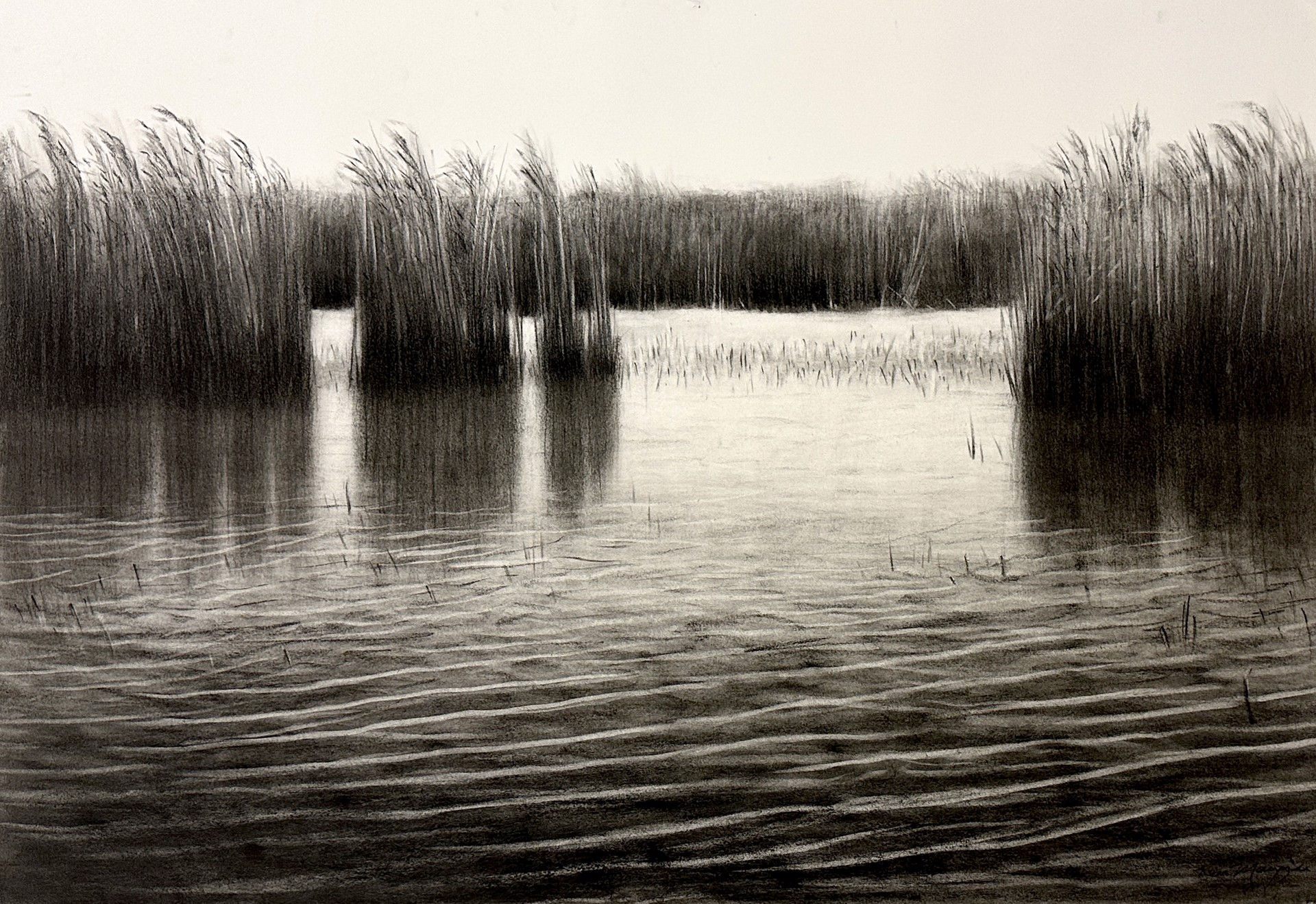 Water Reeds, Anahuac by Ken Mazzu