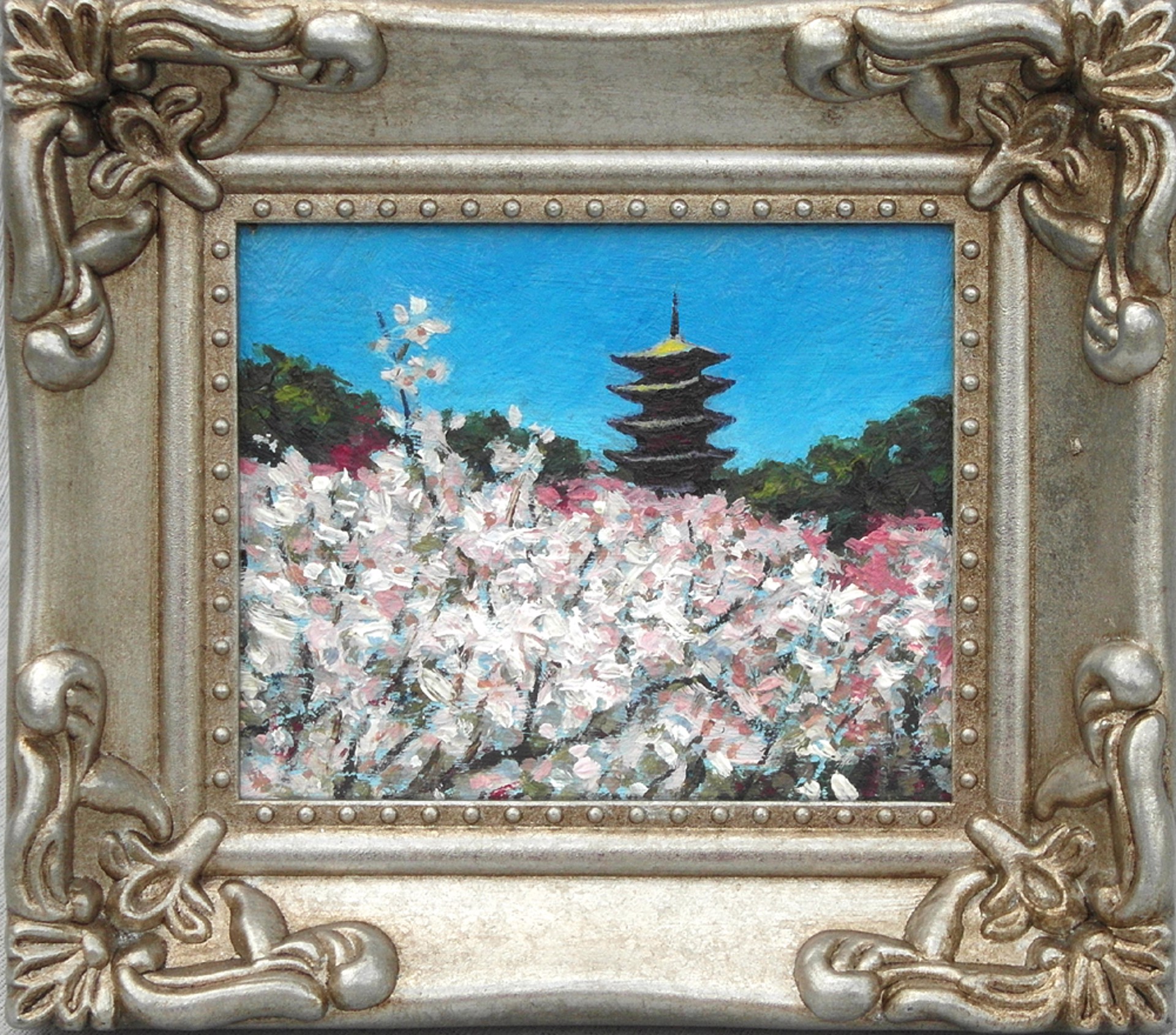 In Bloom, Japan by Ben Xu
