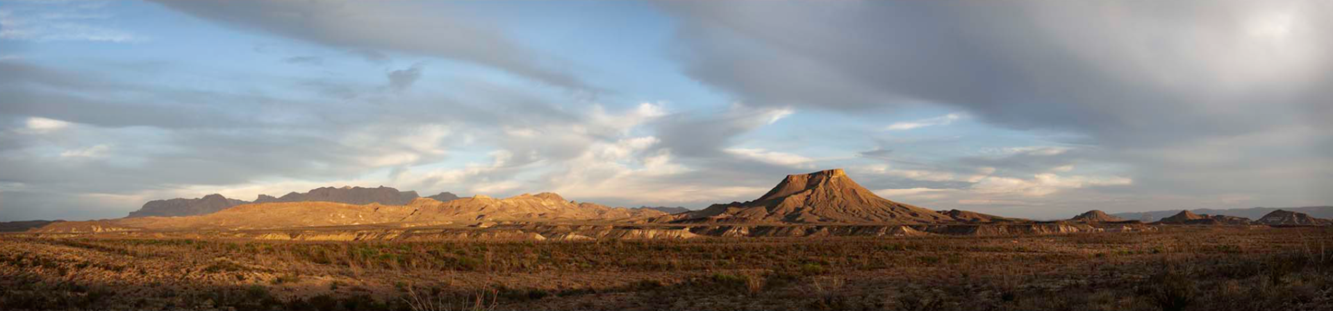 Tule Panoramic by James H. Evans