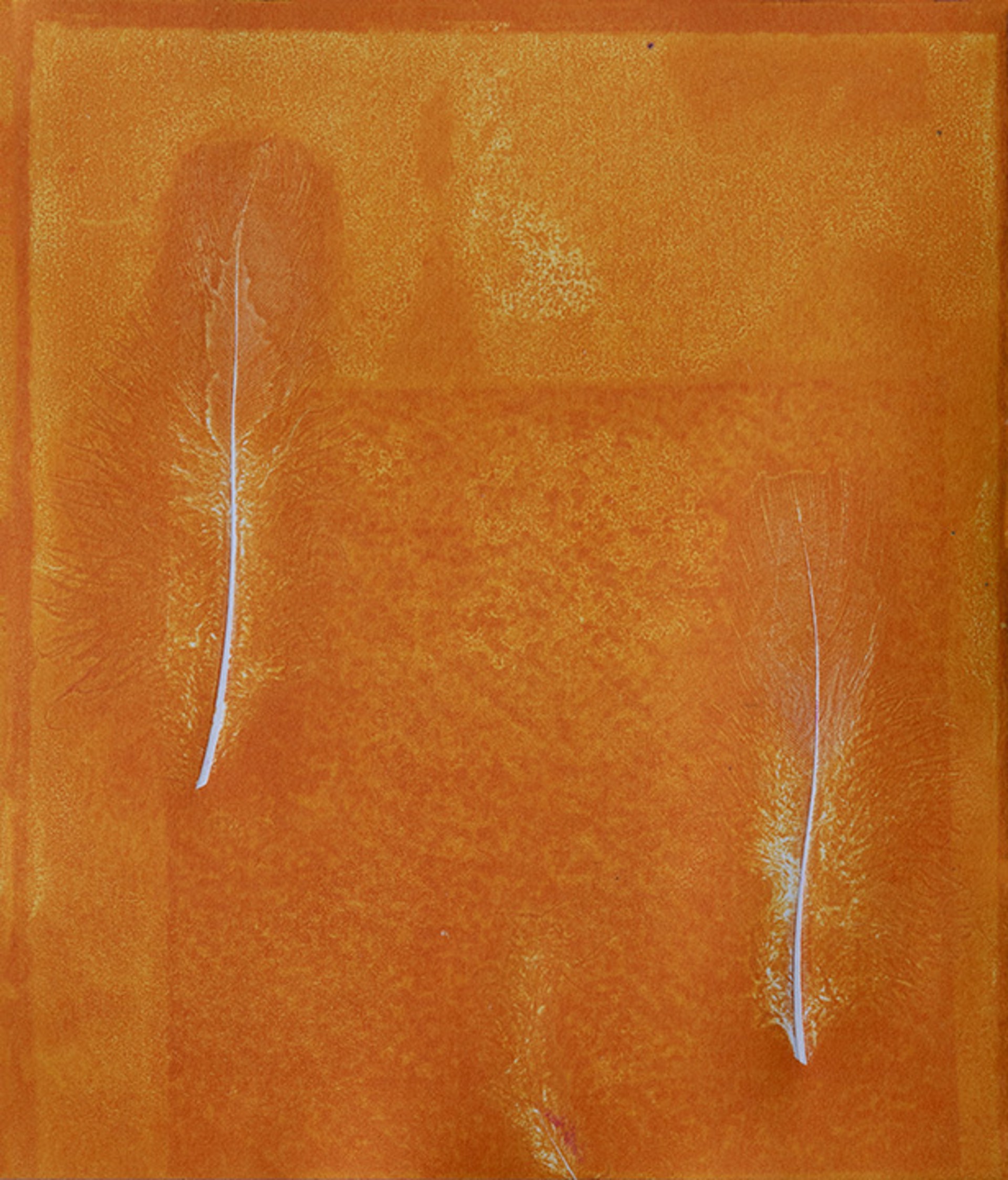 Feathering by Frances Metcalf