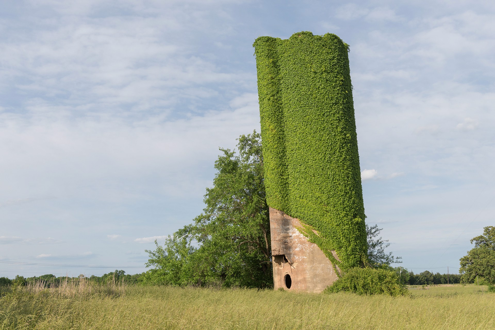 Leaning Silo, US Highway 80, Marengo County by Robin McDonald
