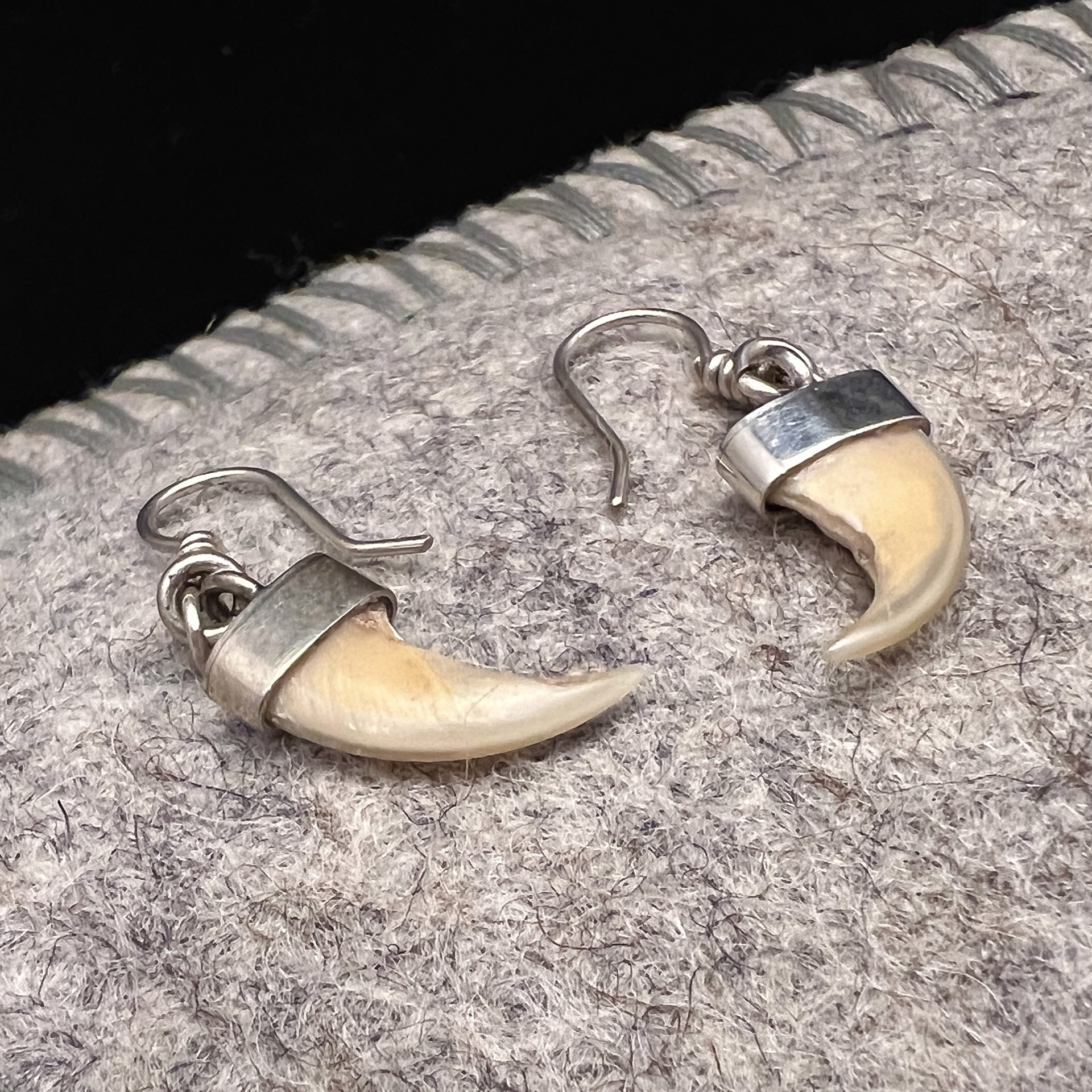 Bobcat Claw Earrings by Rex Foster
