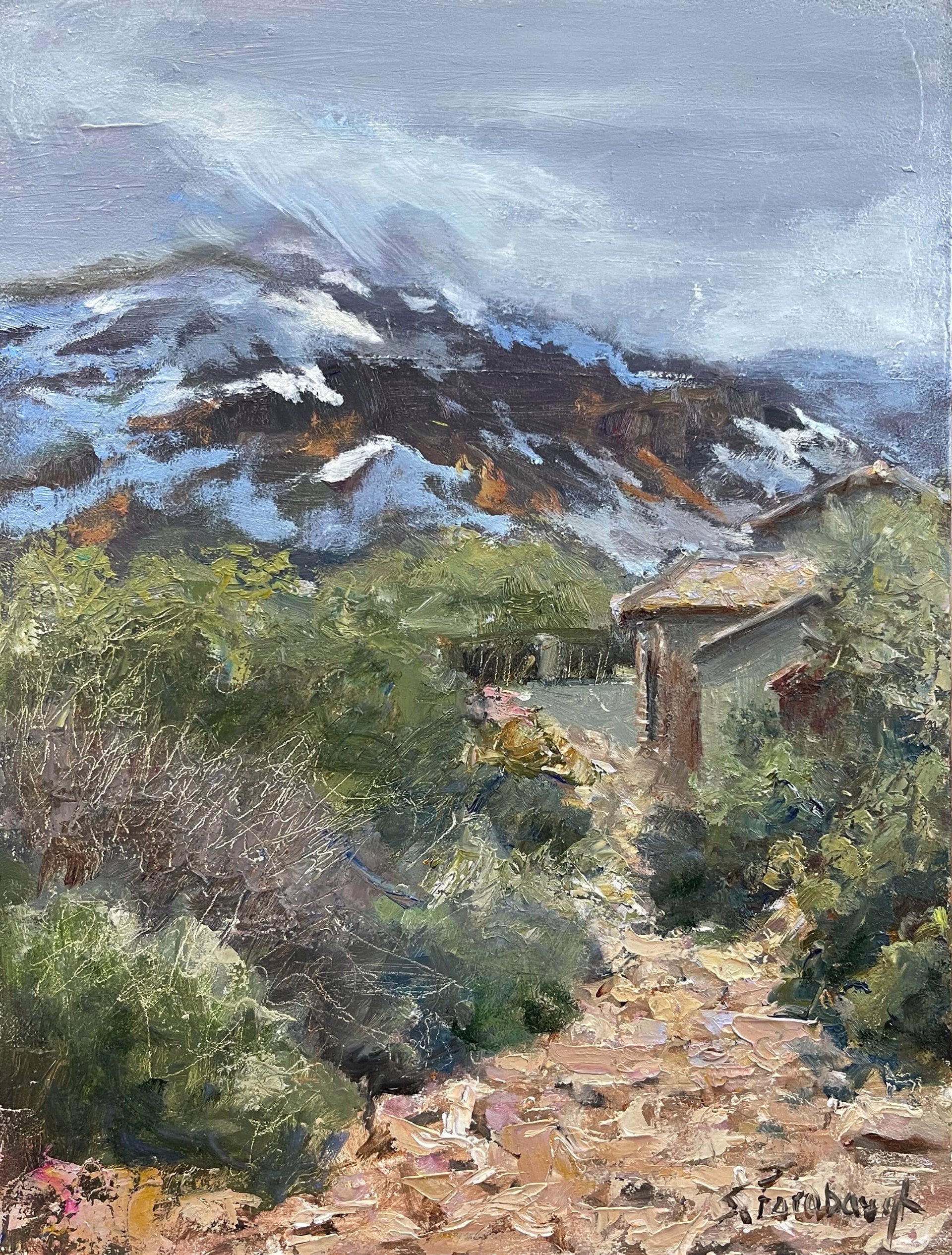 Snow on the Superstitions by Sheri Farabaugh
