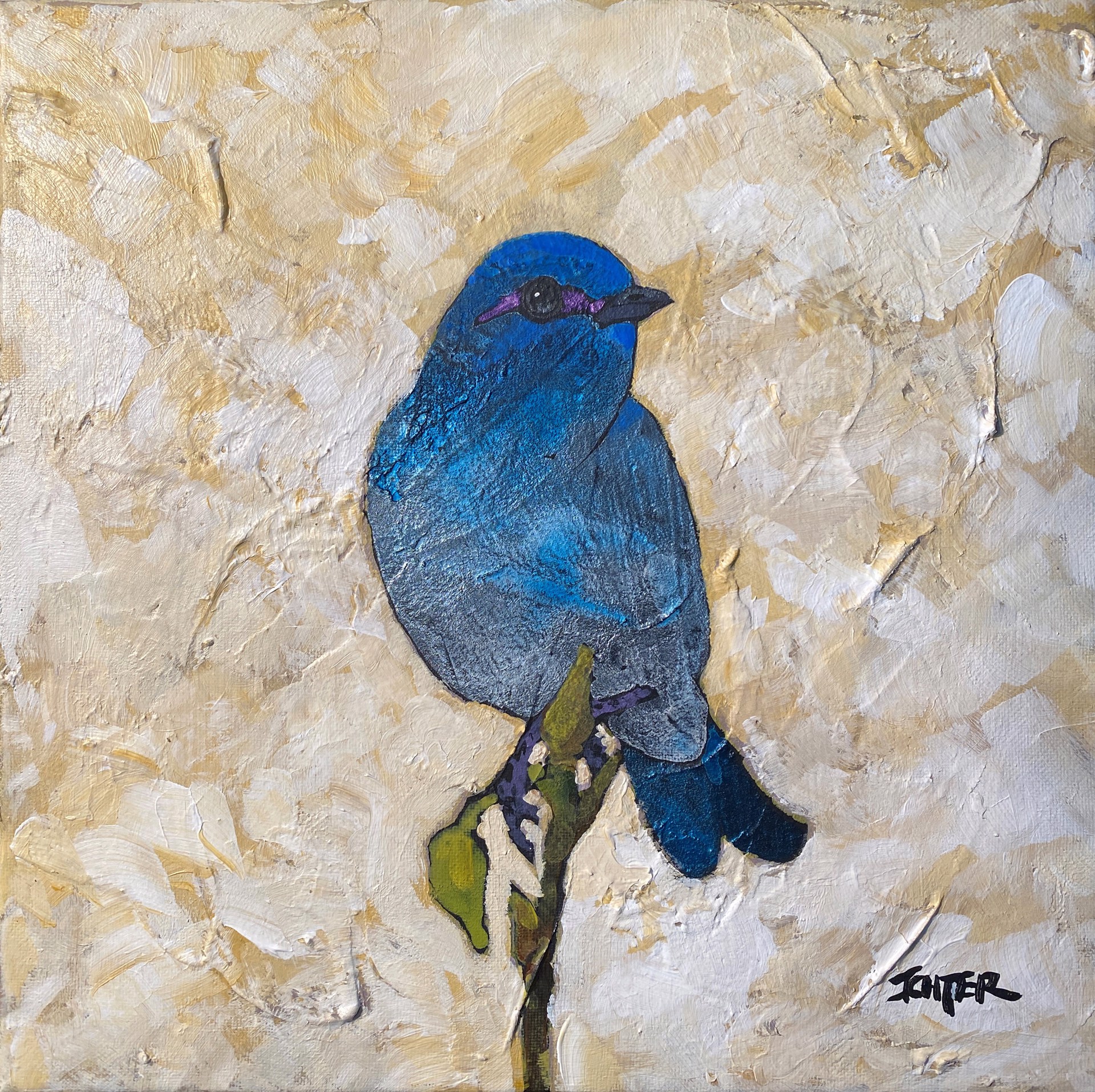 Bluebird by R. John Ichter