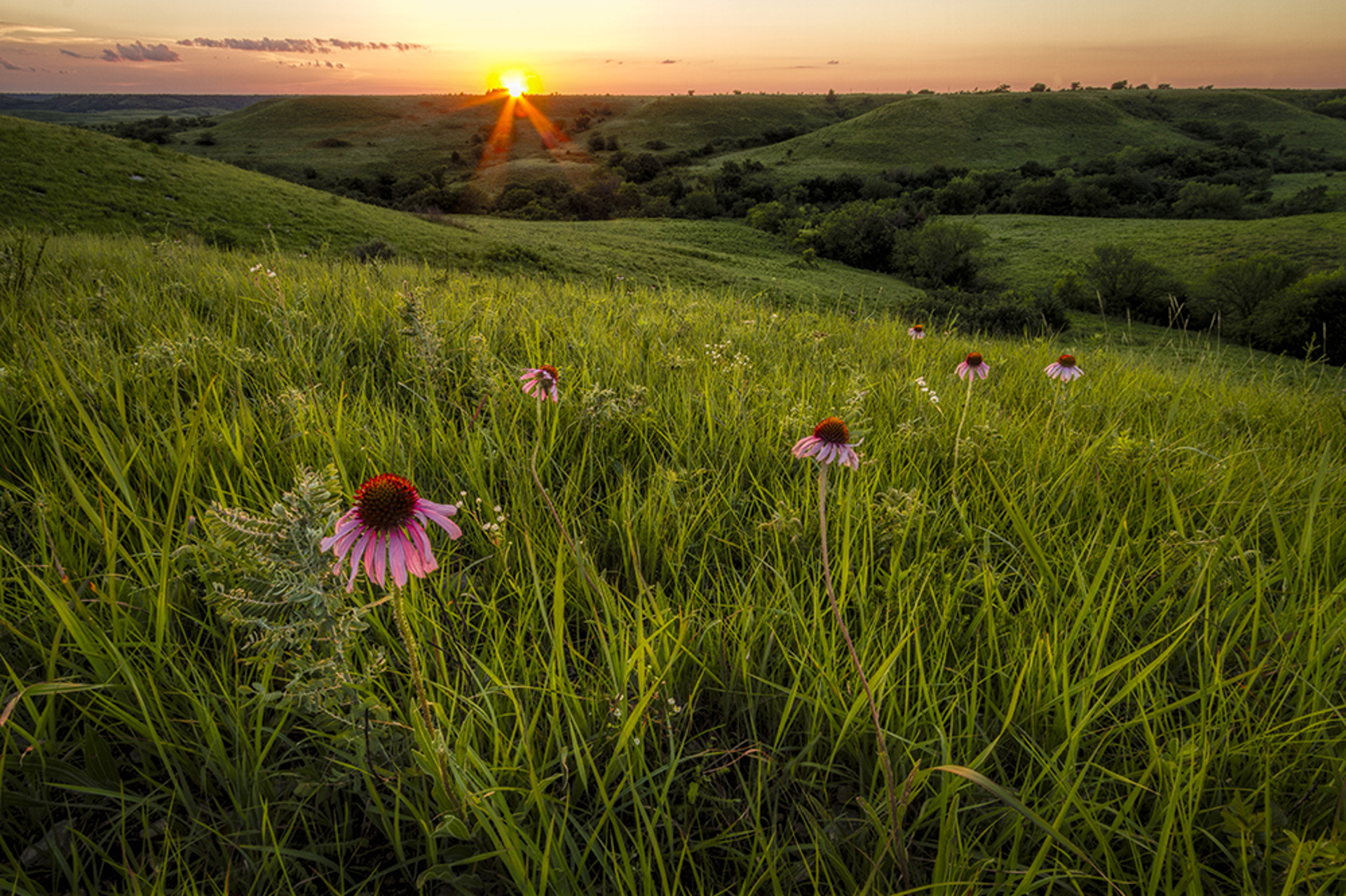 Out in the Flint Hills by Scott Bean