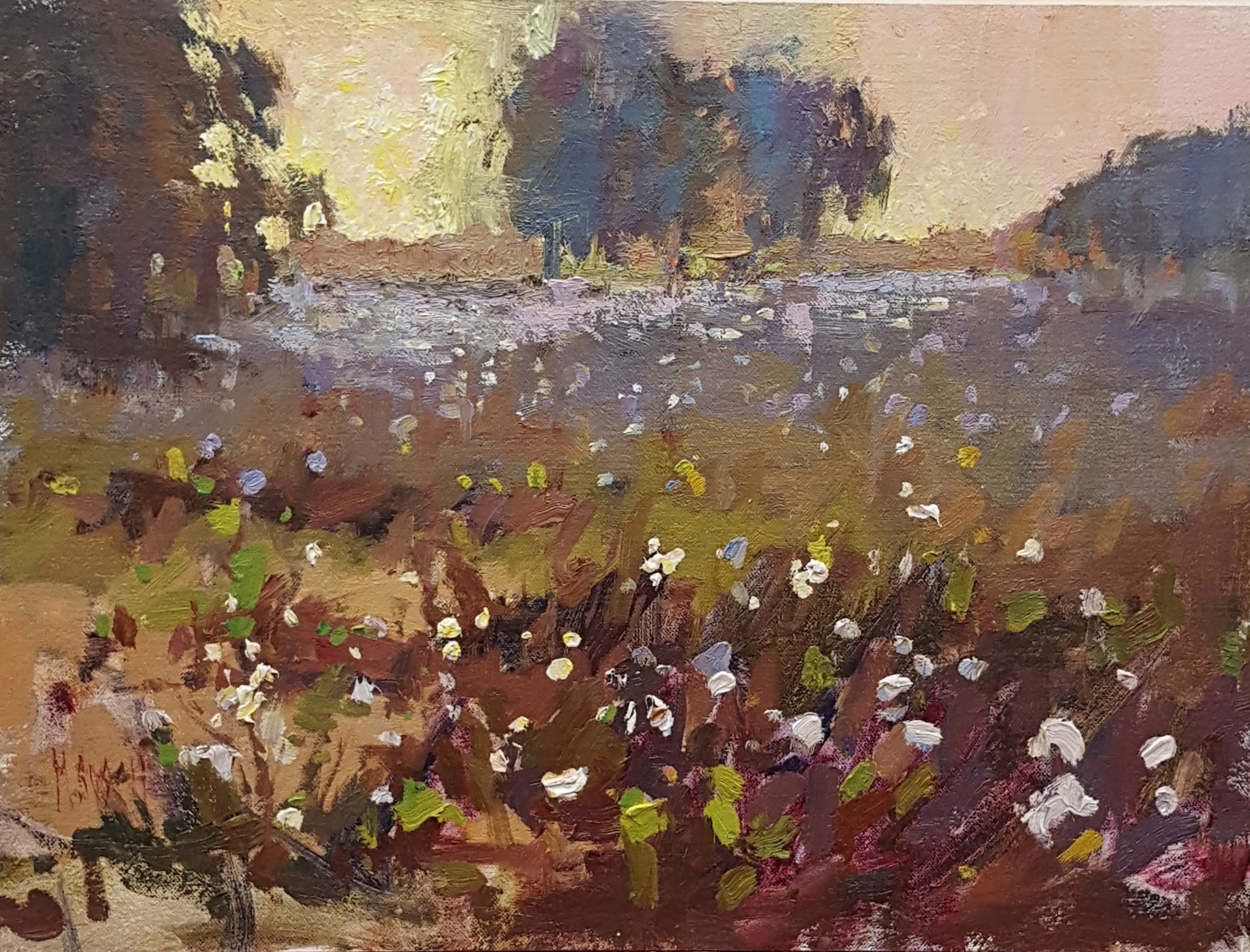 Cotton Field Morning by Millie Gosch