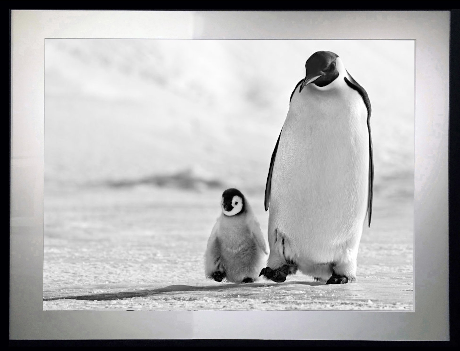 Father and Son by David Yarrow