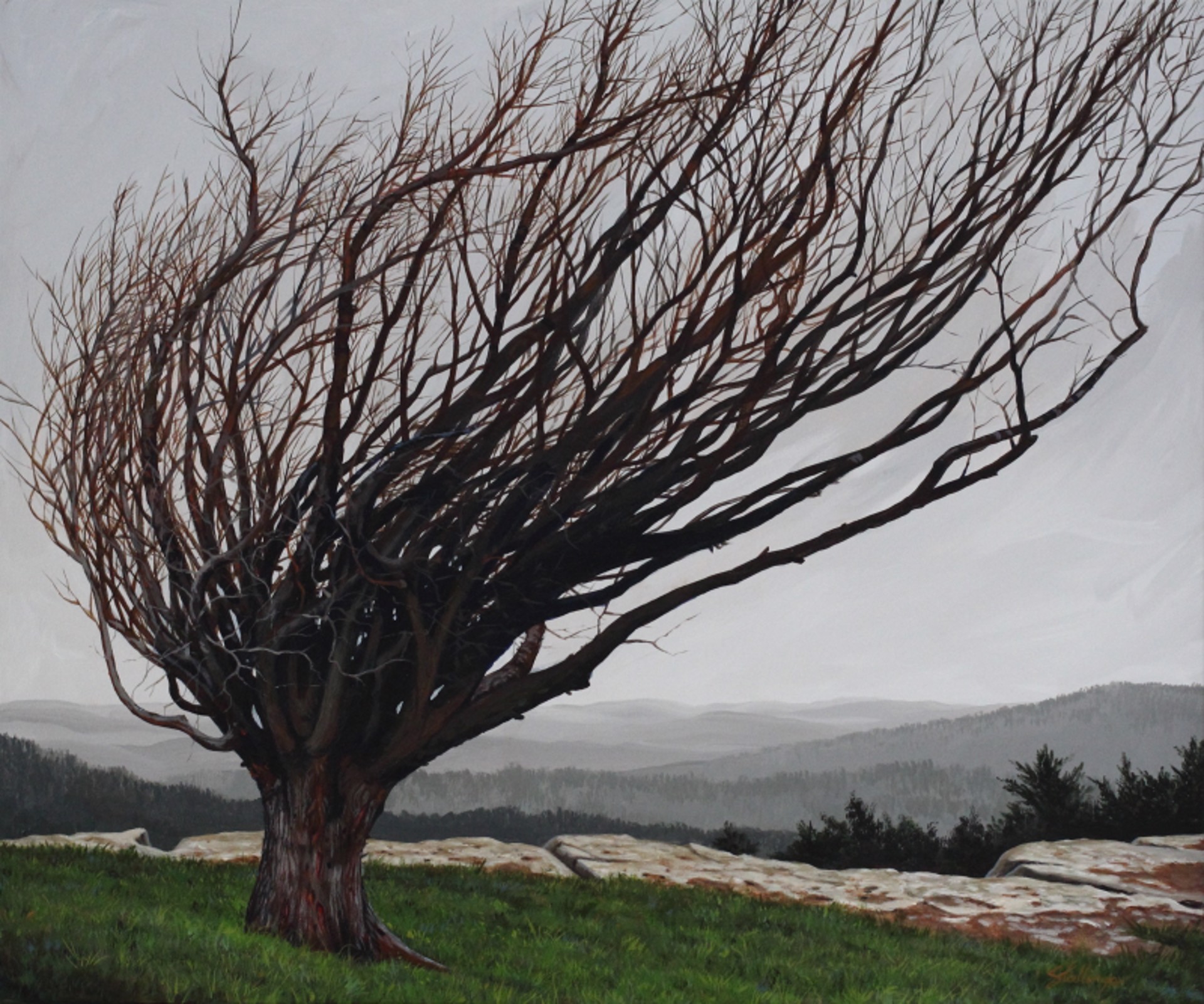 Survivor of Big Winds by Kendall Stallings