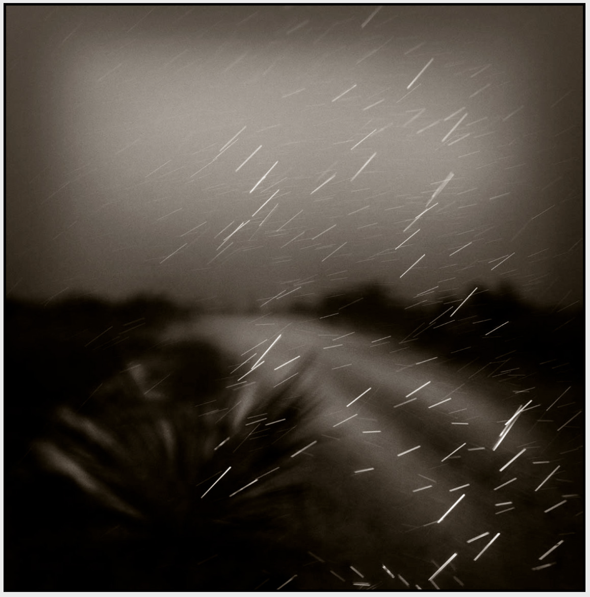 Rain by James H. Evans