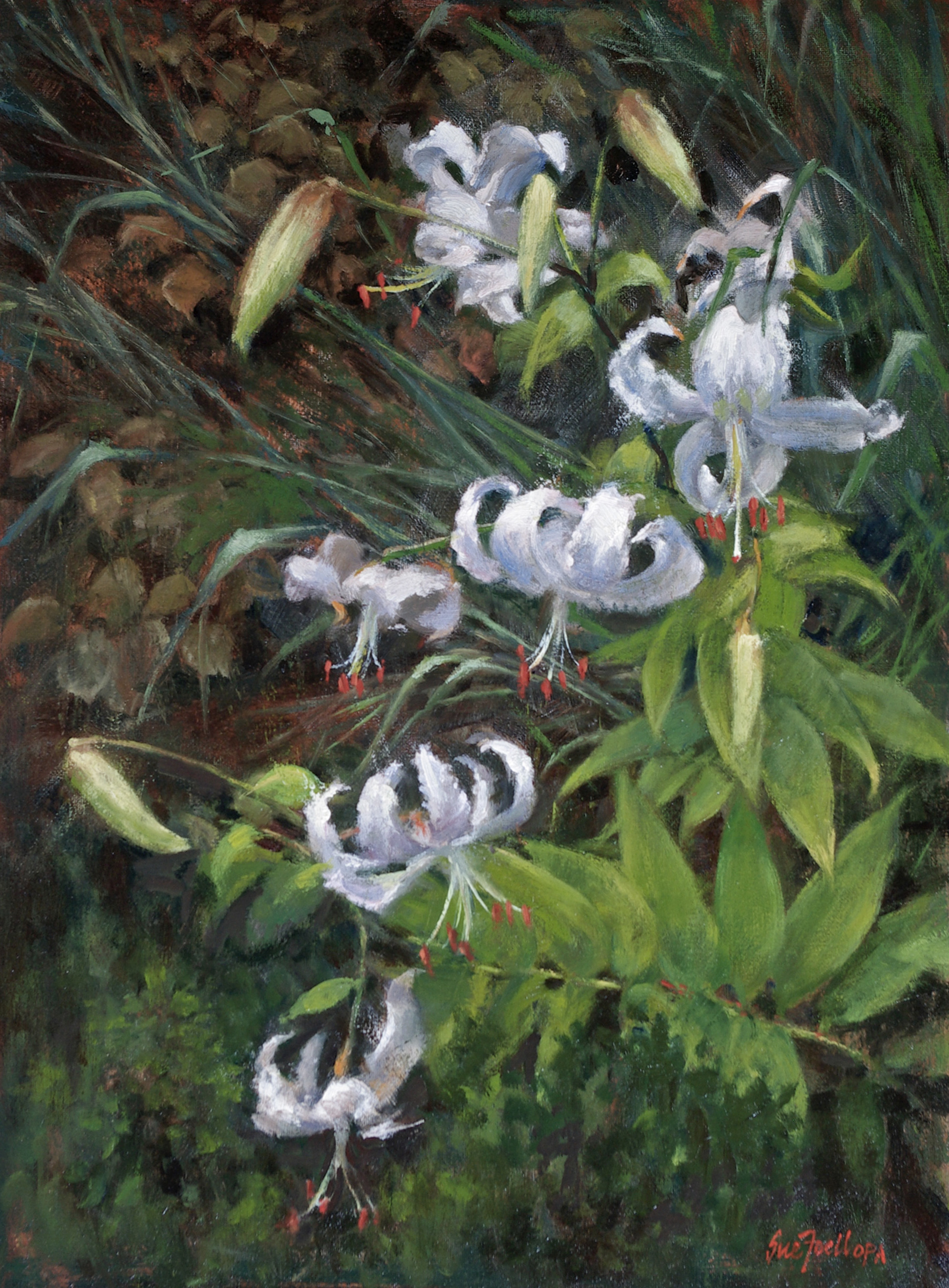 White Lilies by Sue Foell, opa