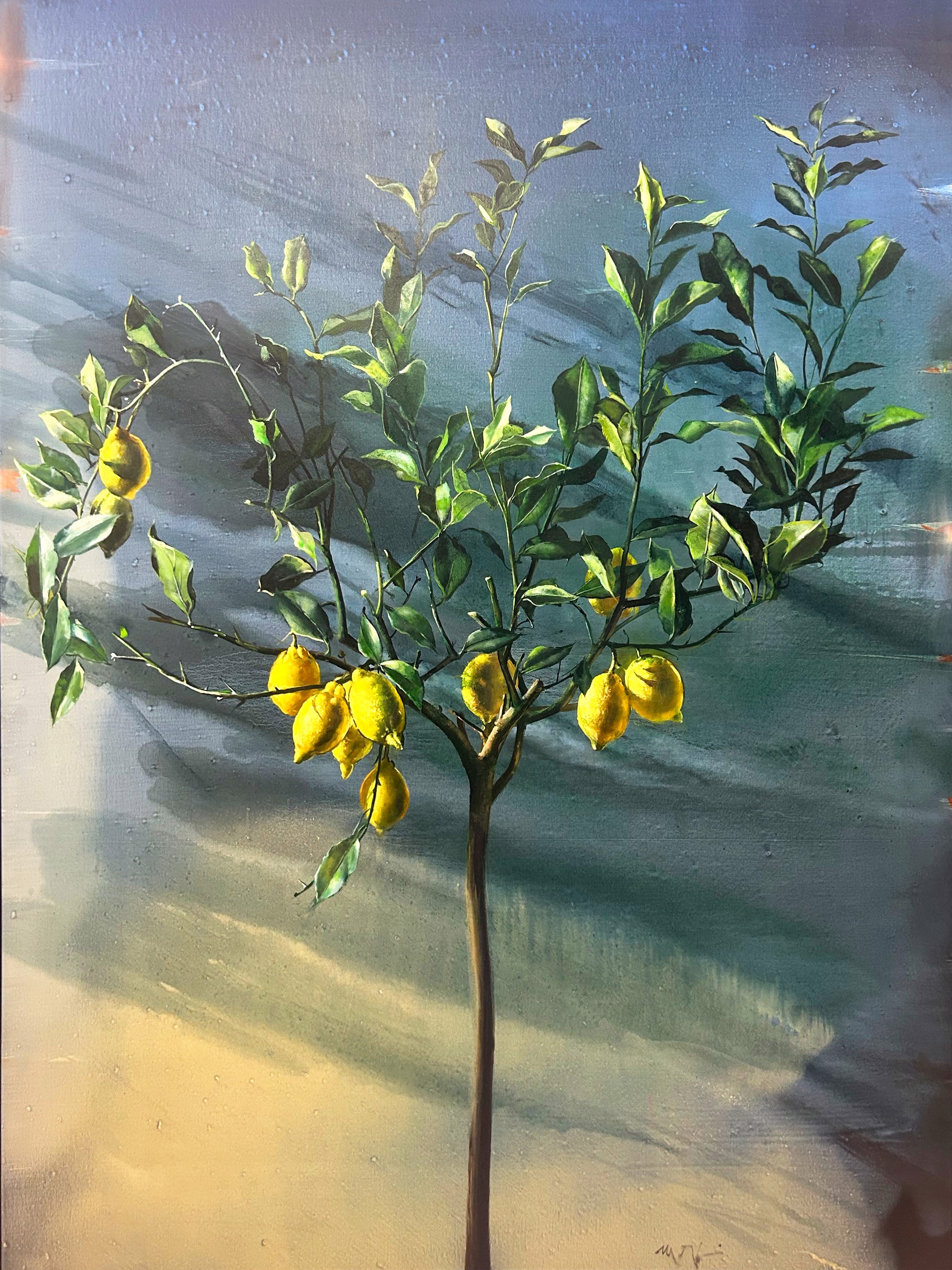 Lemon Tree I by Mario Madiai