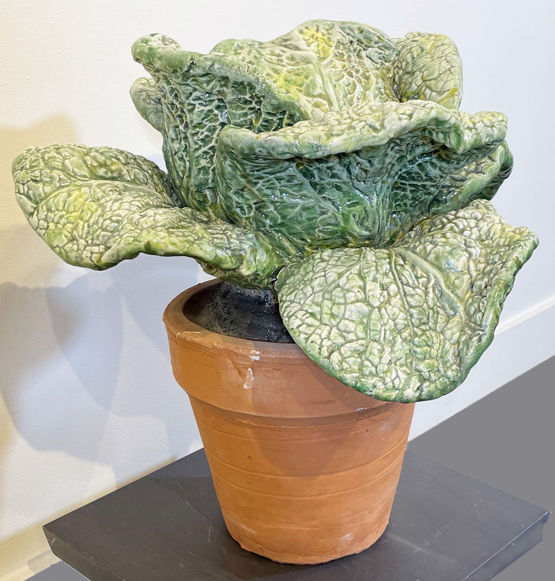 Untitled (cabbage in pot), 1980 by Victor Cicansky