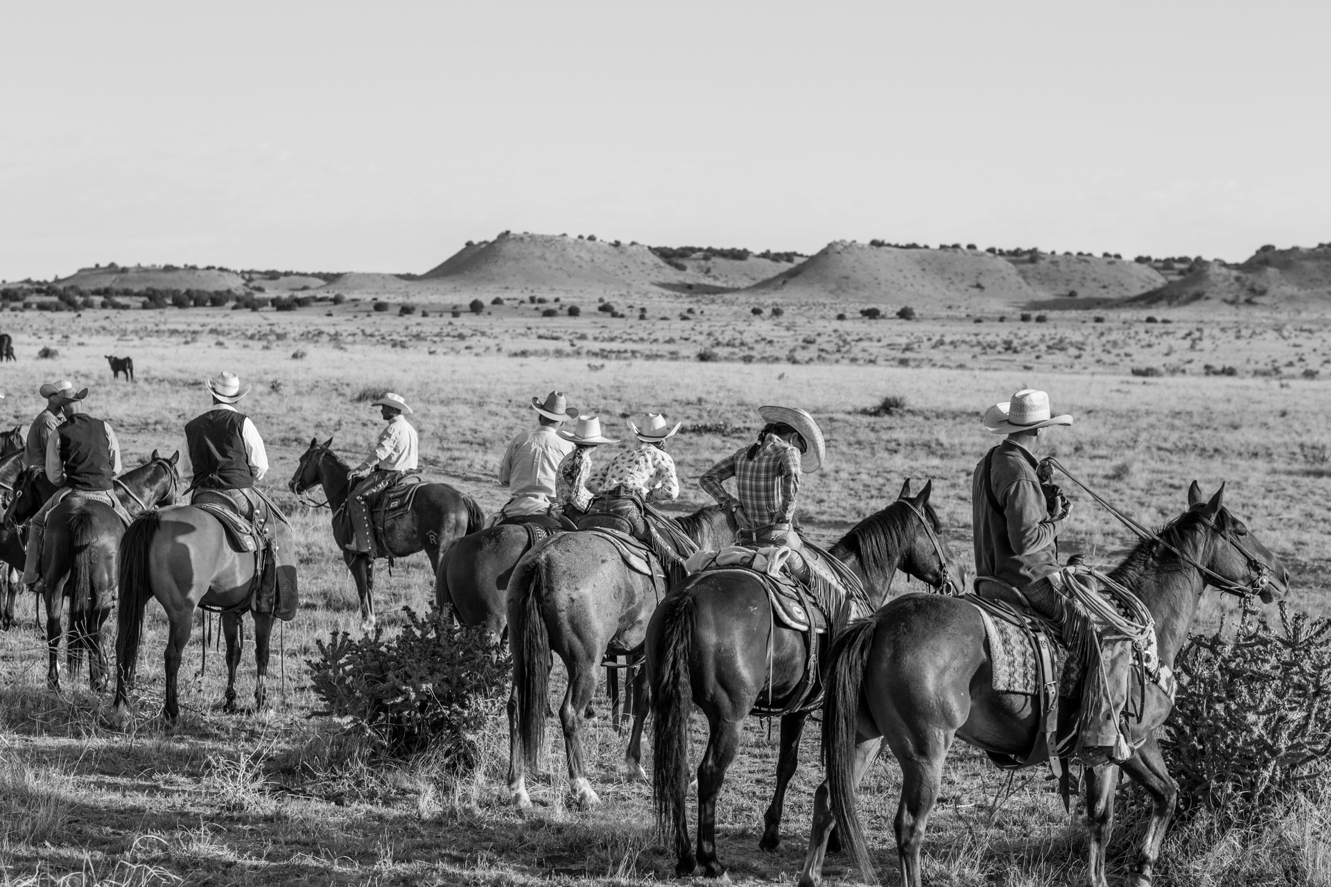 Untitled Cowboys by Constance Jaeggi