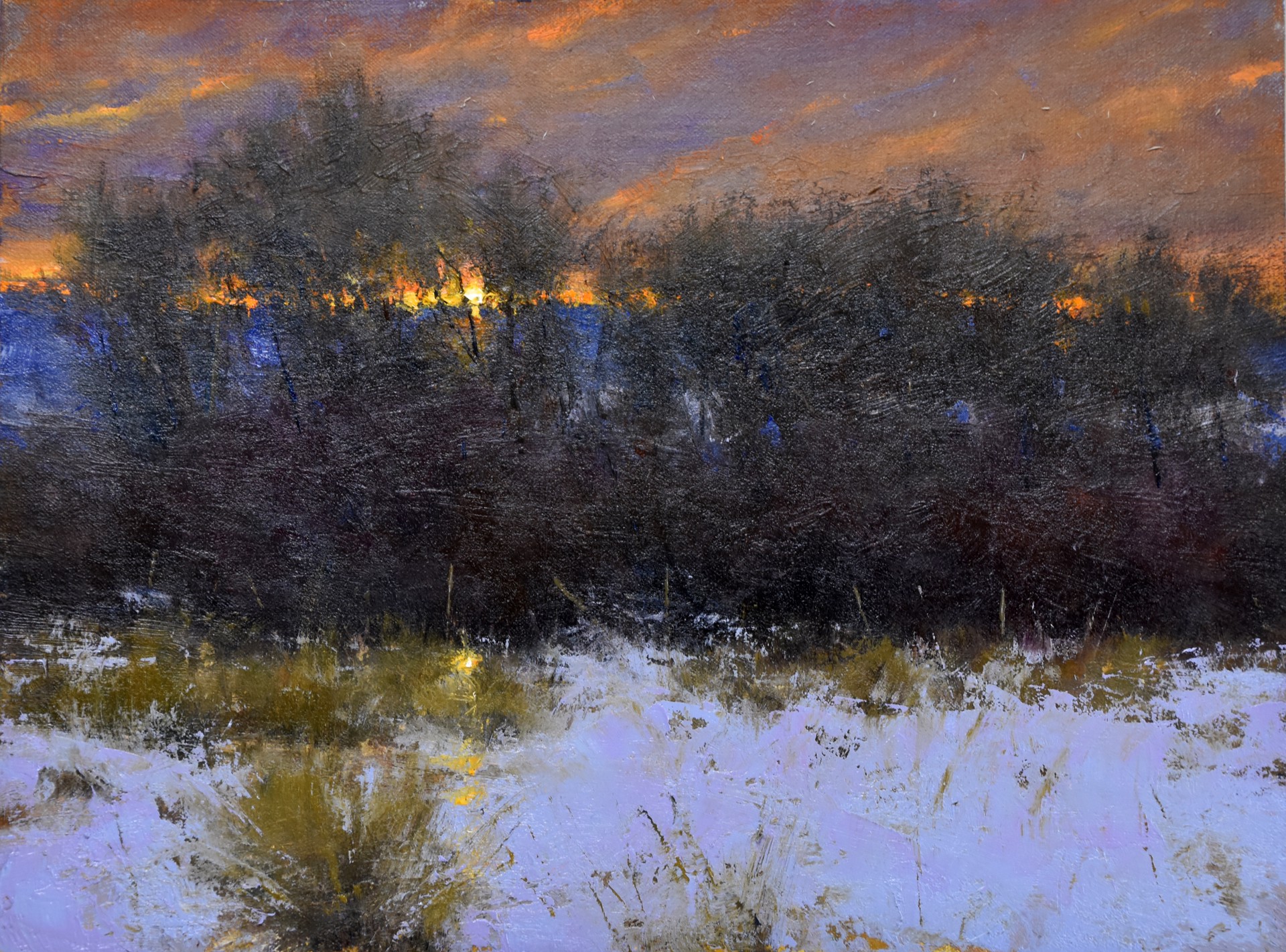 Dan Young | Gallery 1261