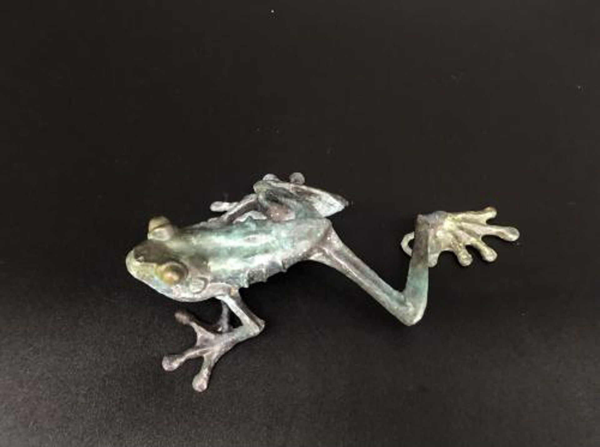 Frog C by Dan Chen