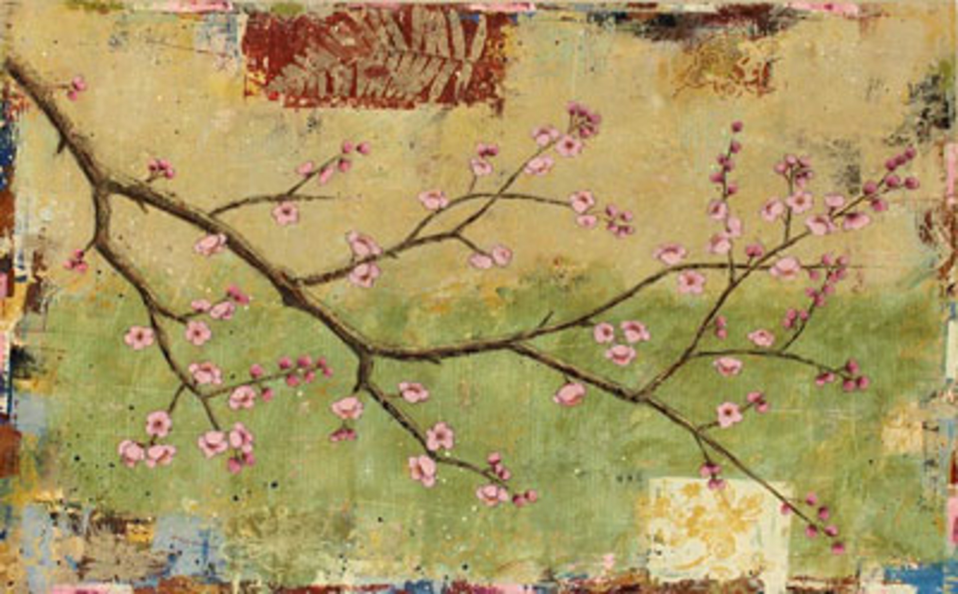 Flowering Cherry #2 by Paul Brigham
