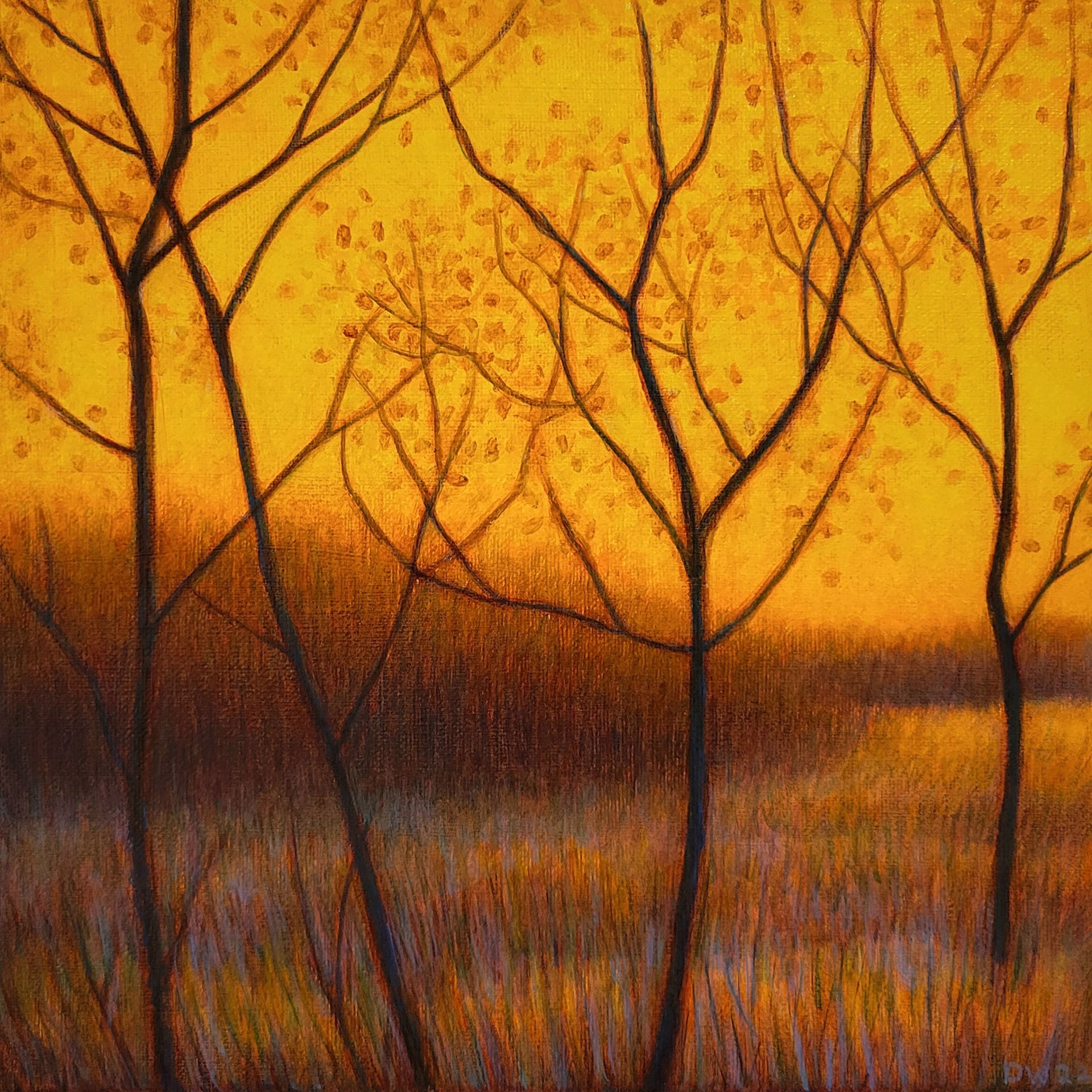 Prairie Sunset by Debbie Wozniak-Bonk