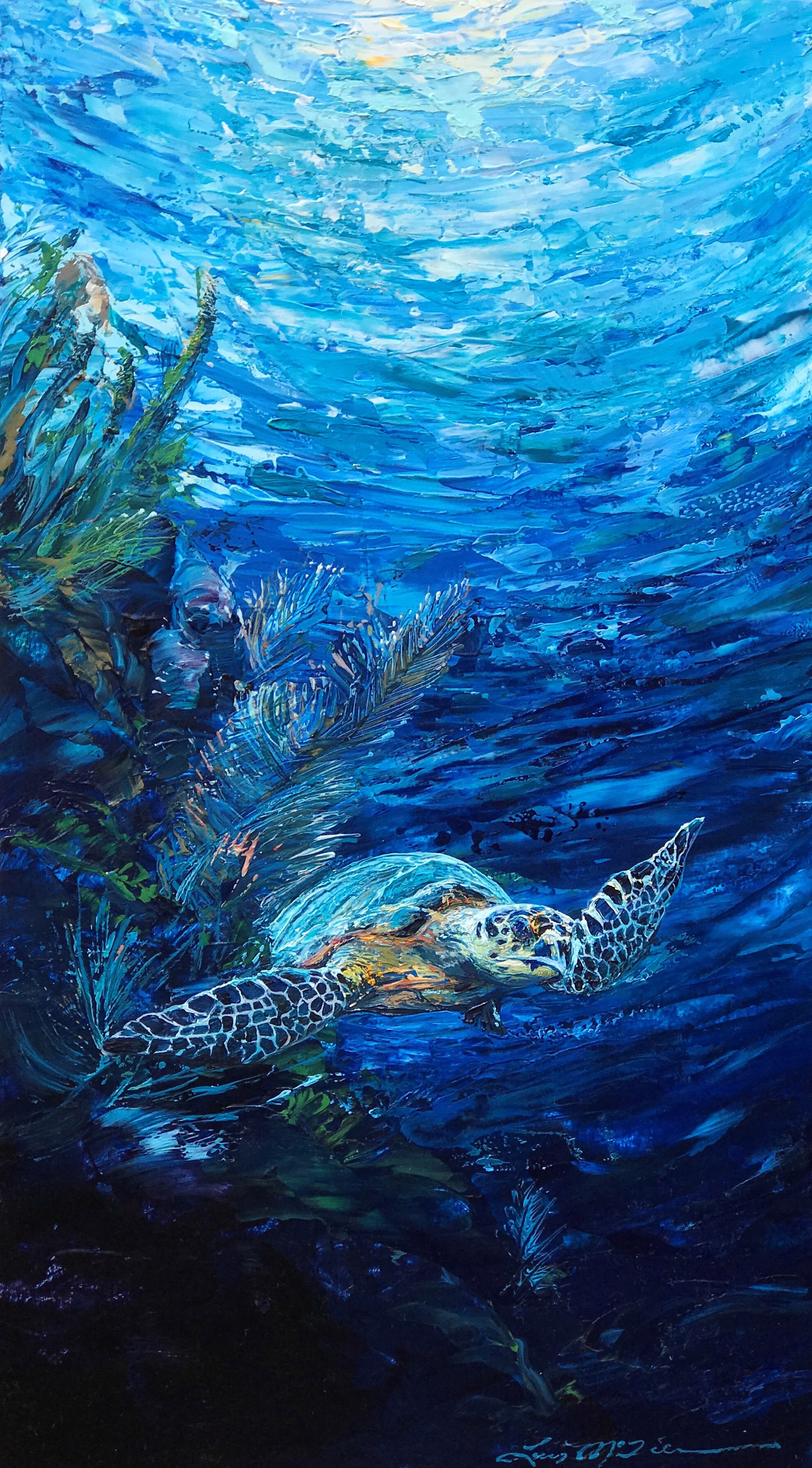 "Hawksbill Turtle" by Lucy McTier
