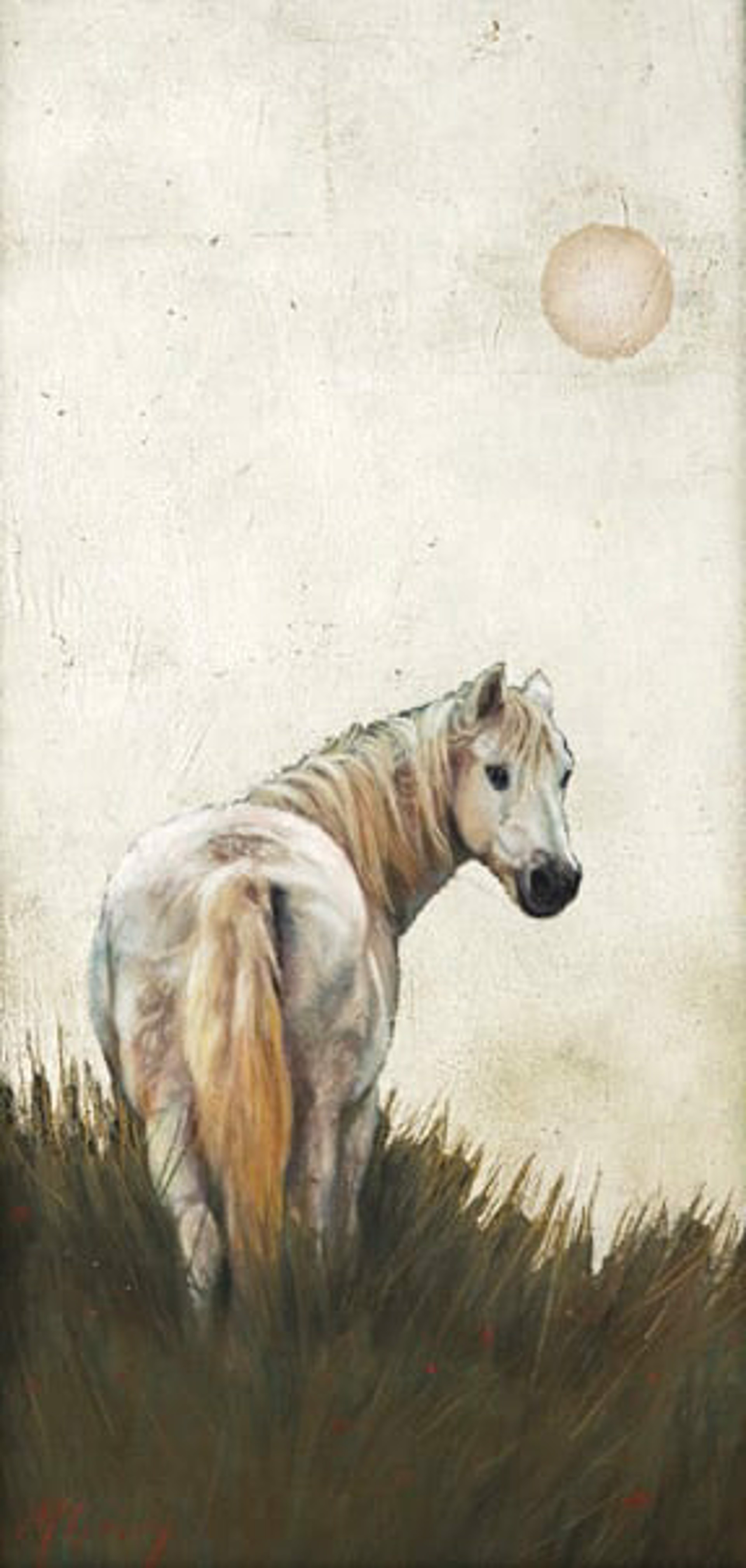Irish Pony by Anne McGrory