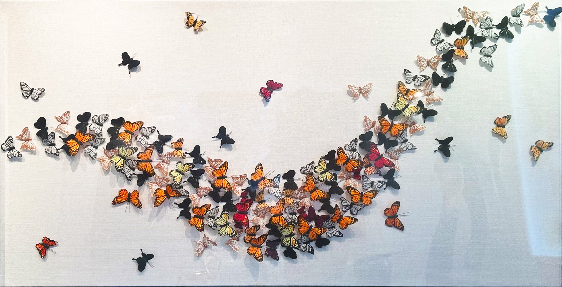 Monarch Migration by Vangelis