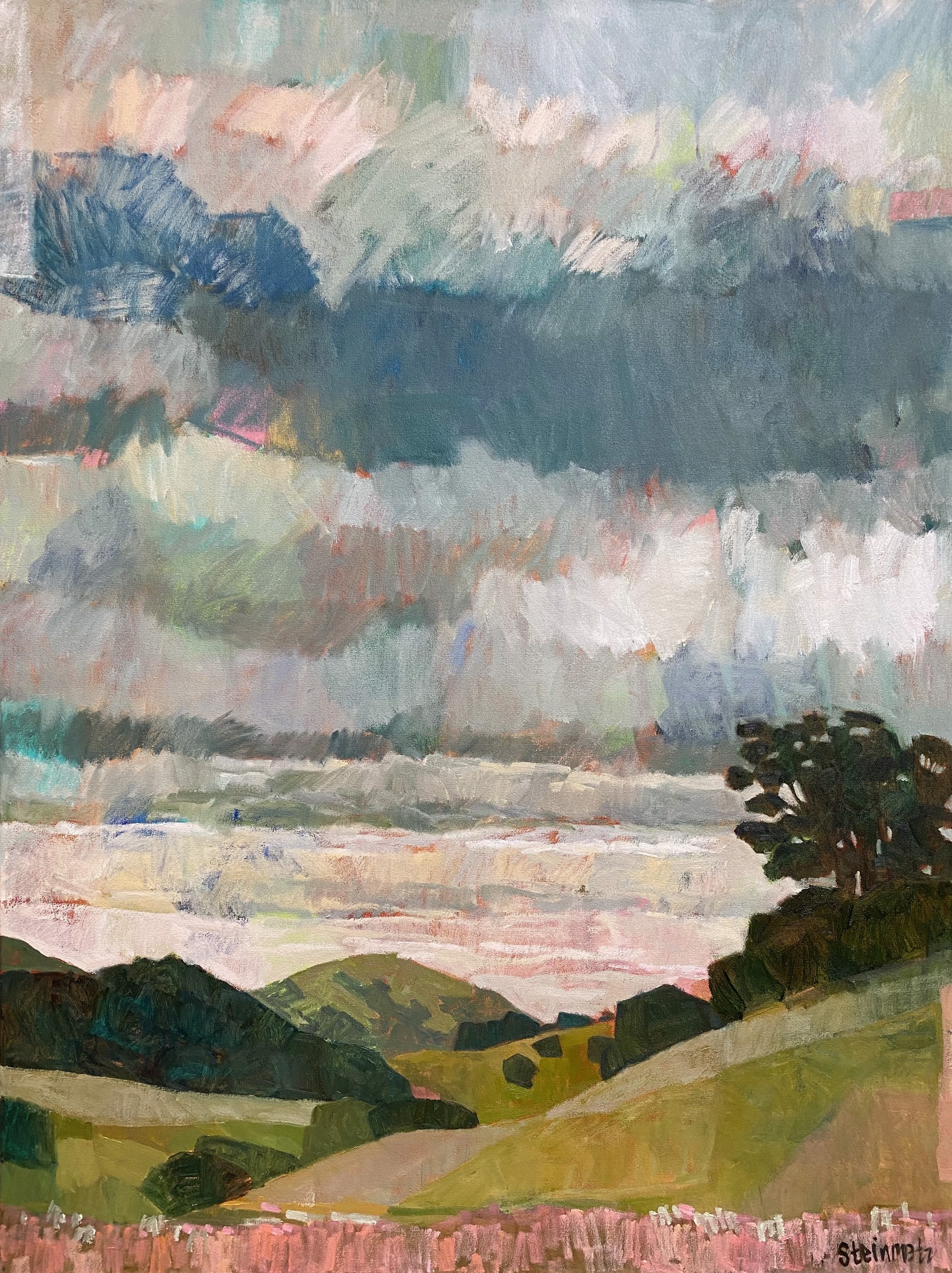 I See All the Colors by Liana Steinmetz