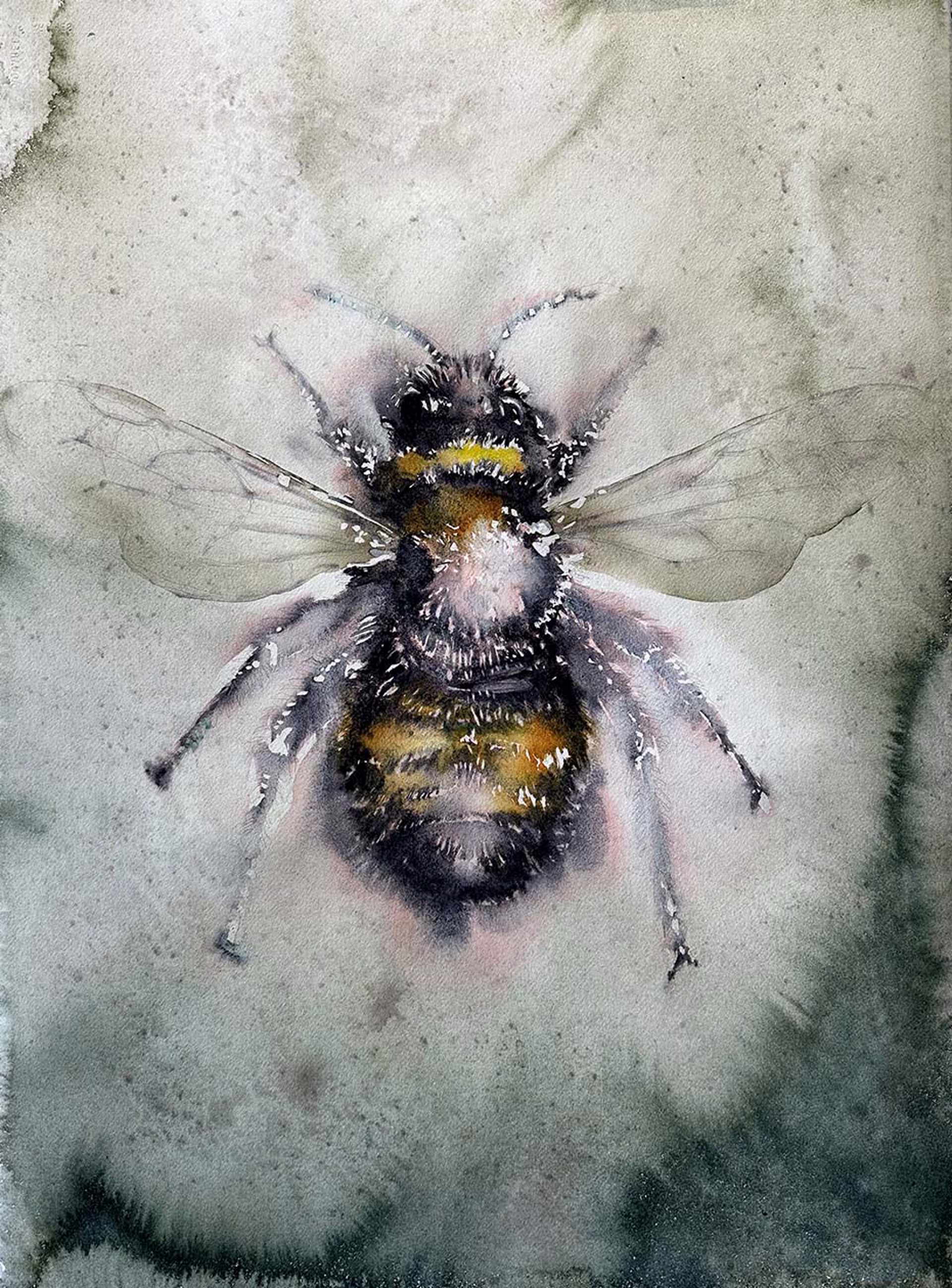 Bee by Carol Carter