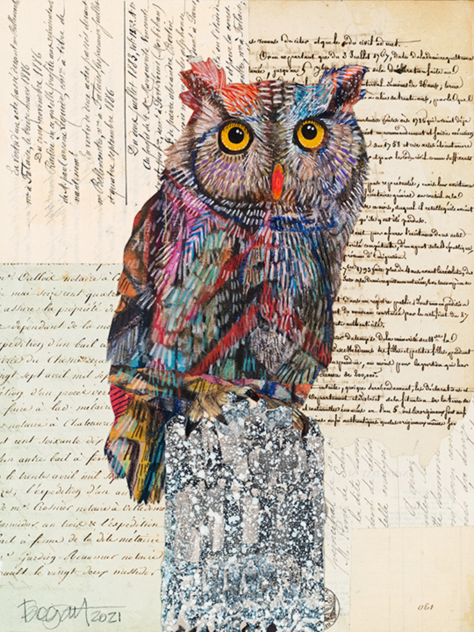 Screech Owl 5 by Brenda Bogart - Prints