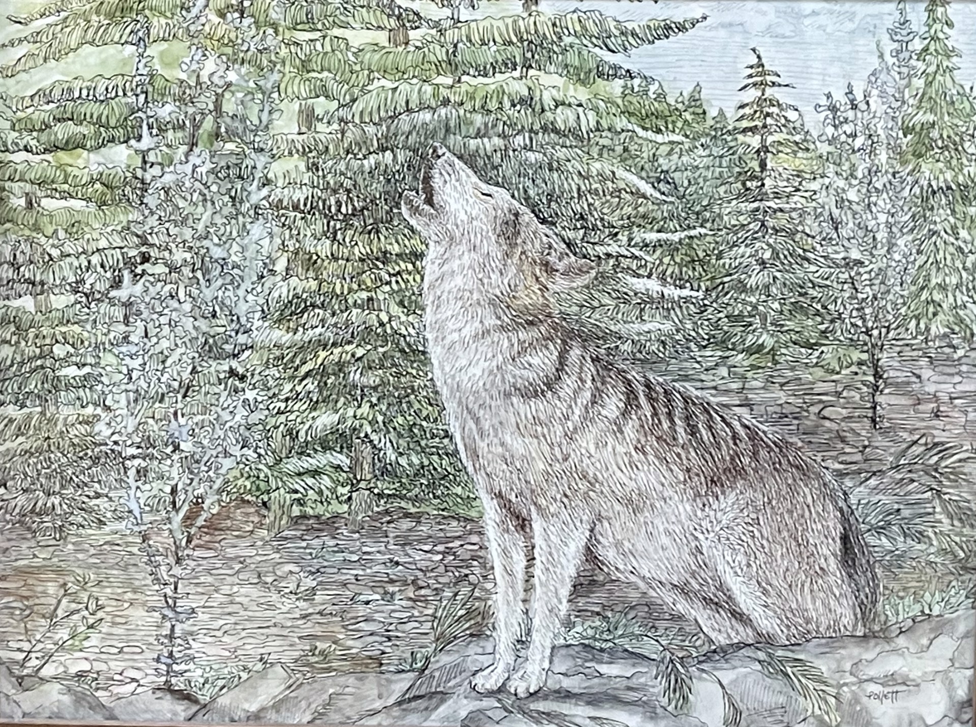Song of the Wolf by Cynthia Jewell Pollett