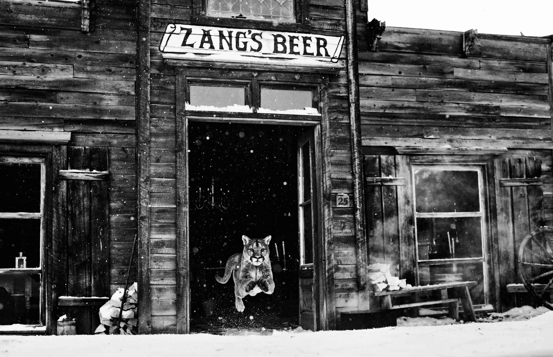The Wild West (A.P.1) by David Yarrow