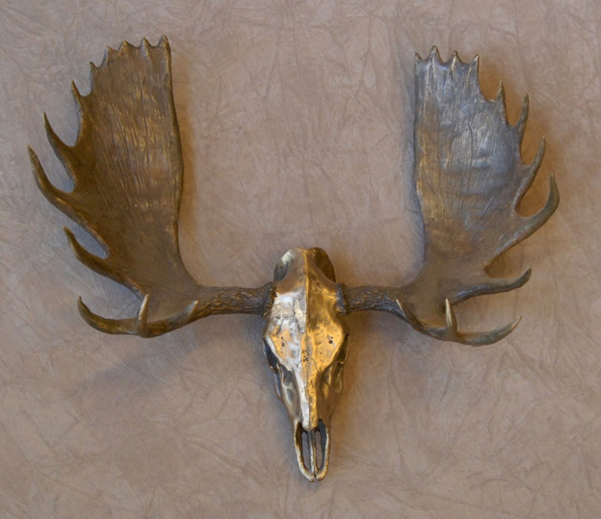 Moose Skull by Jim Eppler