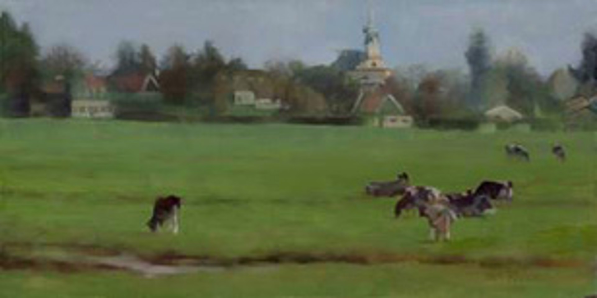 Dutch Cows by Deb Kaylor