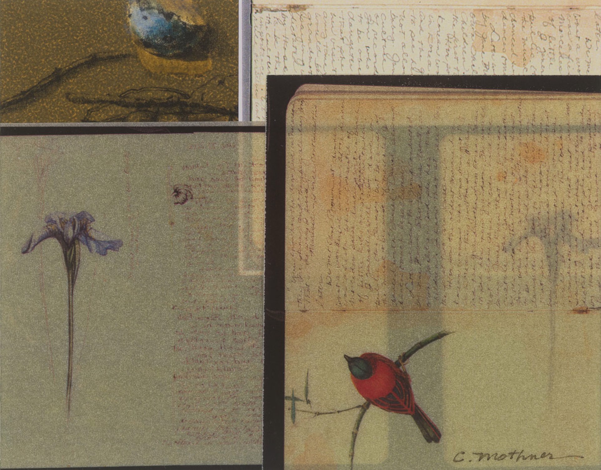 Journal Pages: Iris & Red Myth by Carol Mothner