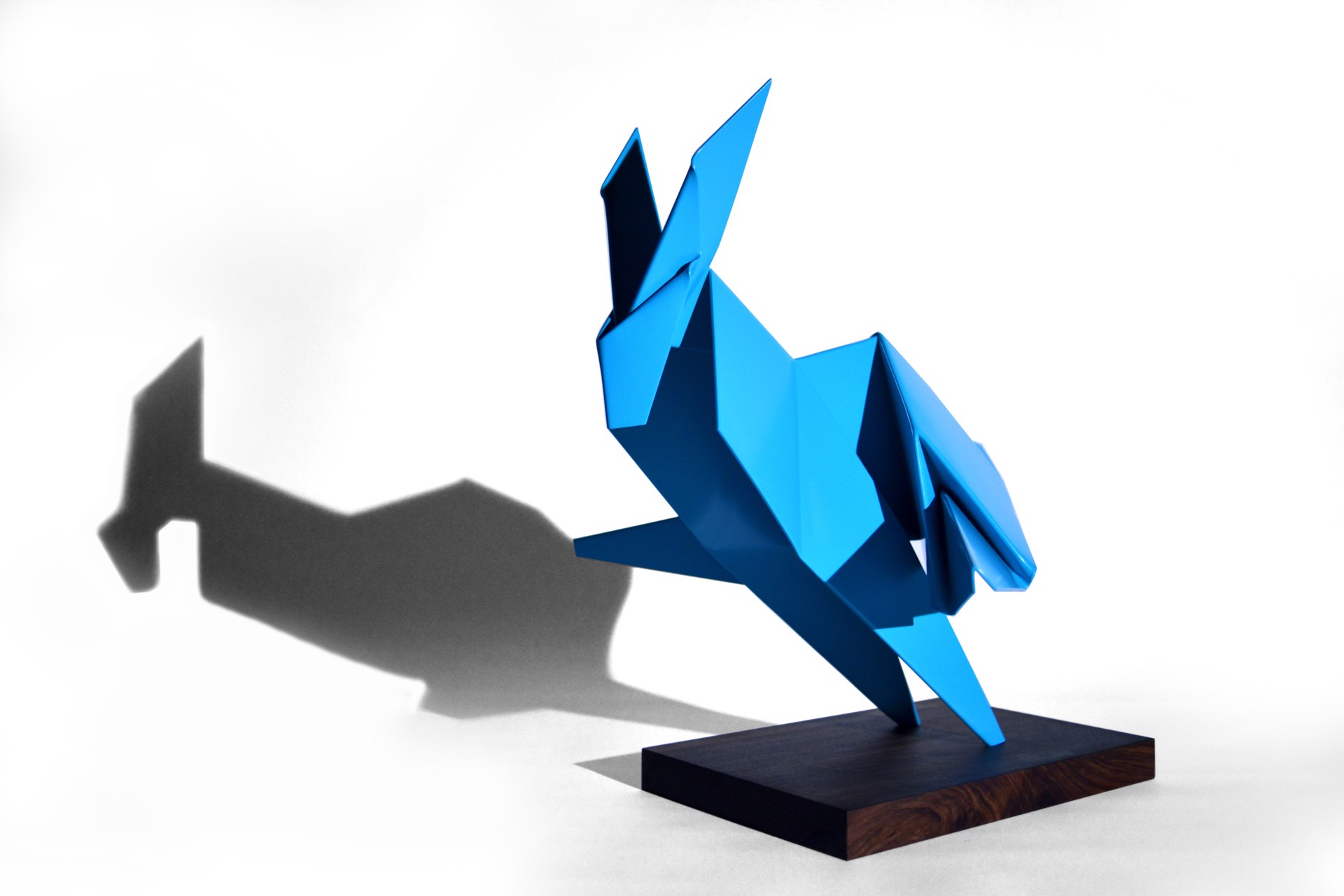Rabbit, Running by Hacer