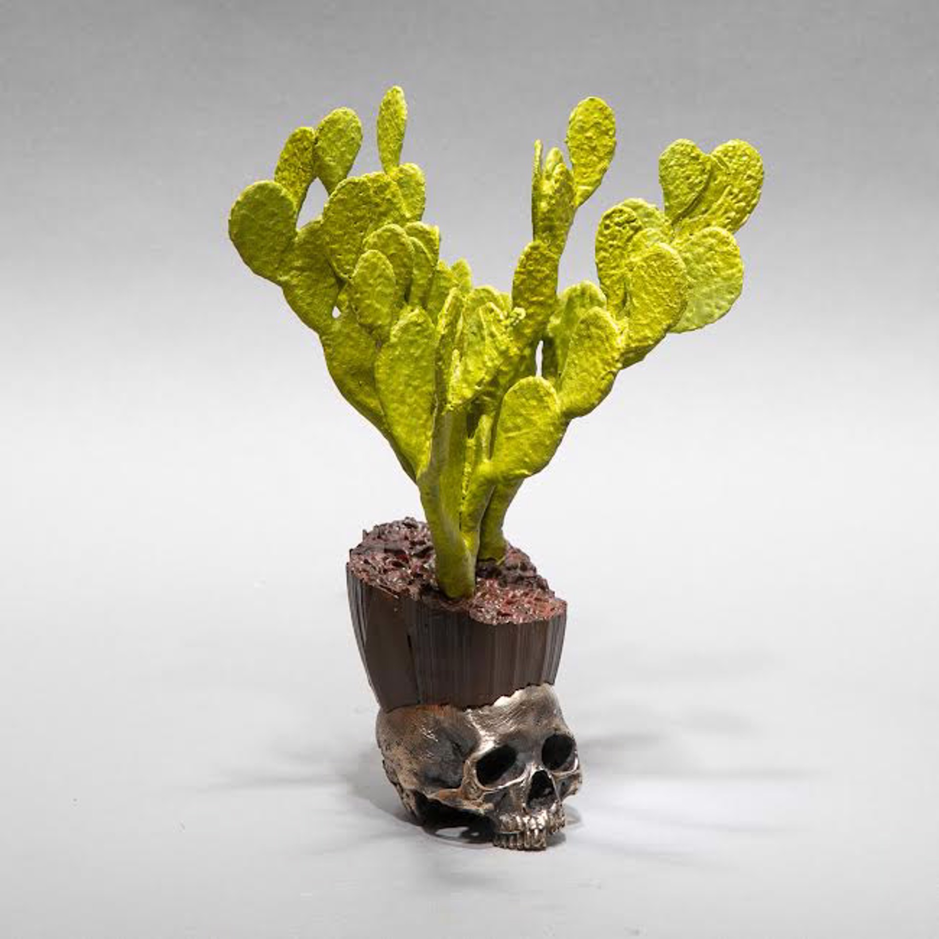 "Cactus Skull 7" by Dana Younger